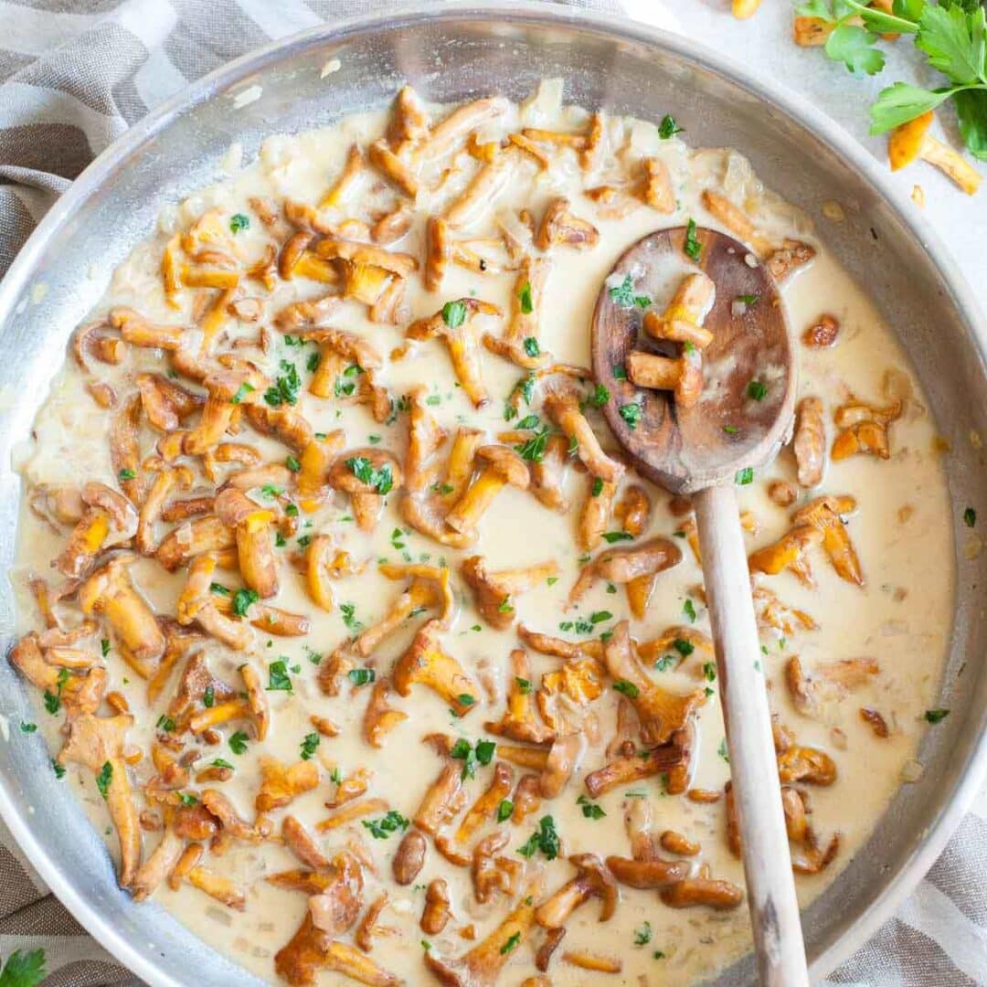 Creamy Chanterelle Sauce Everyday Delicious