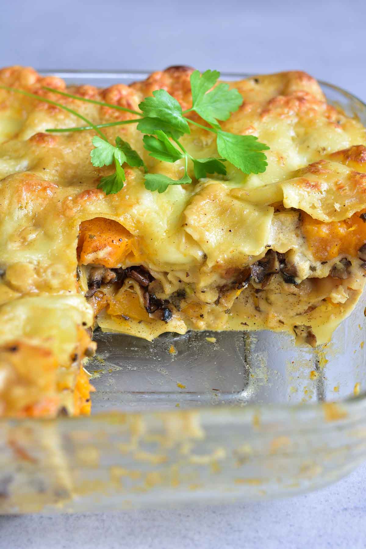 White Lasagna with pumpkin and mushrooms in a baking dish