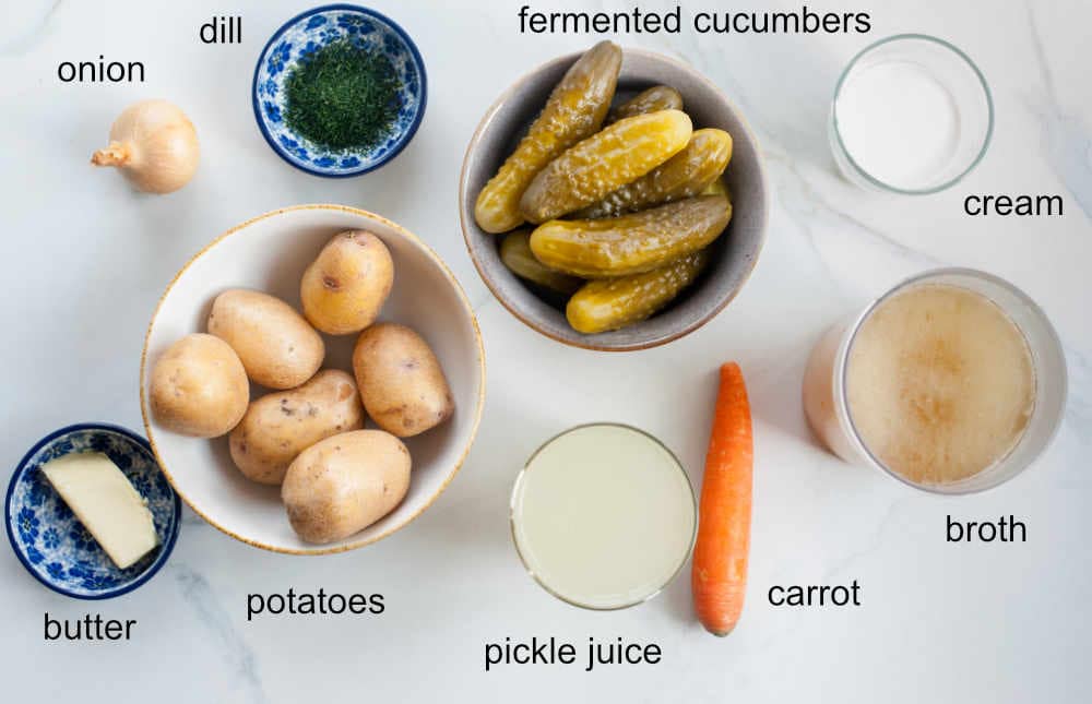 Labeled ingredients for Polish Dill Pickle Soup.