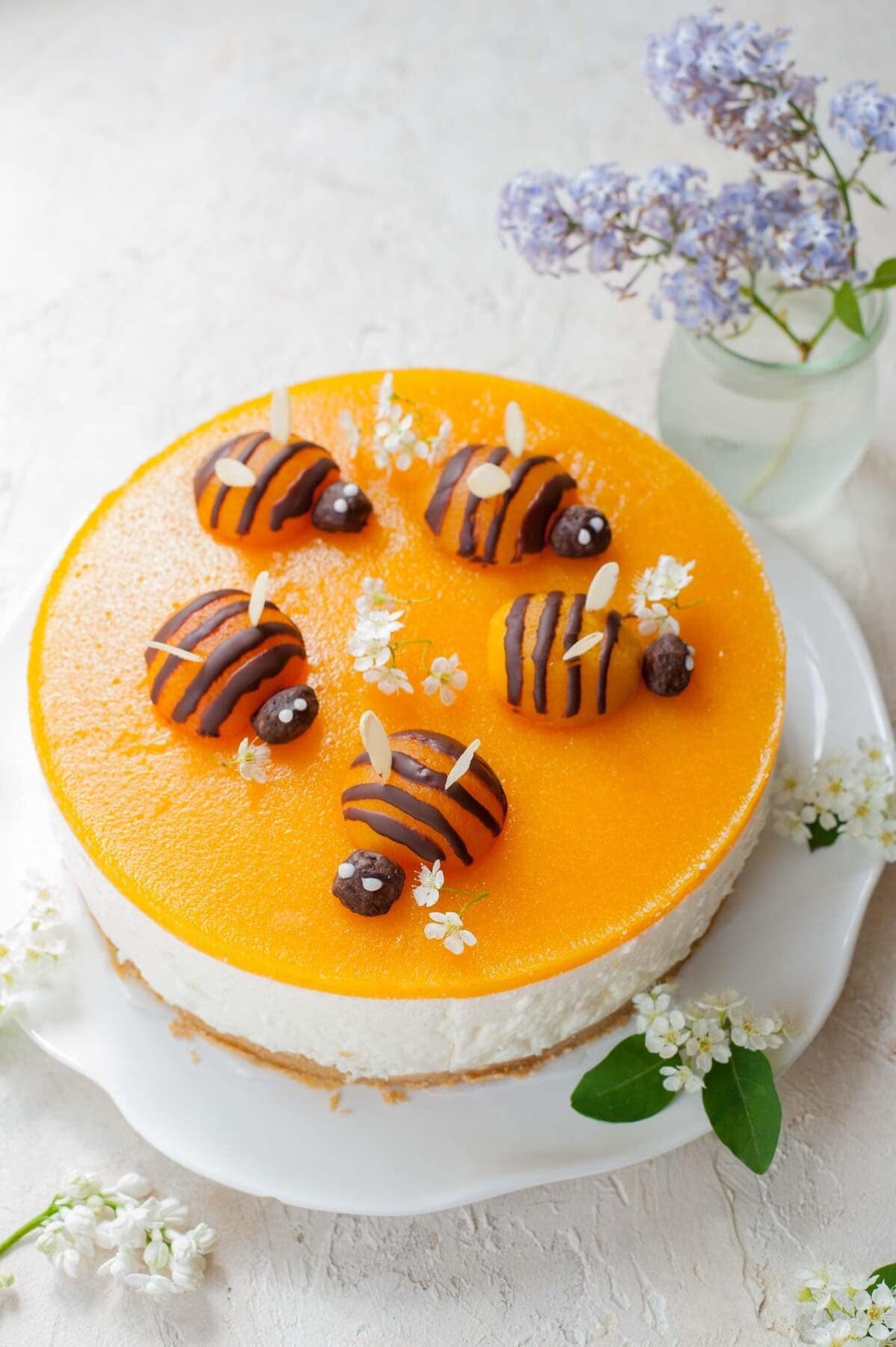 No-bake Greek yogurt cheesecake with apricot mousse and apricot bees on top.