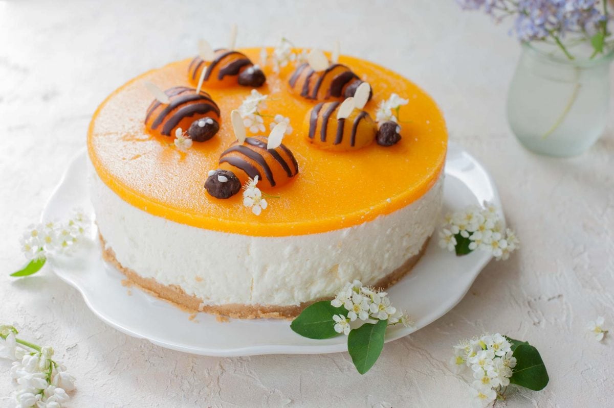 No-bake cheesecake with apricot mousse and apricot bees on a white plate.