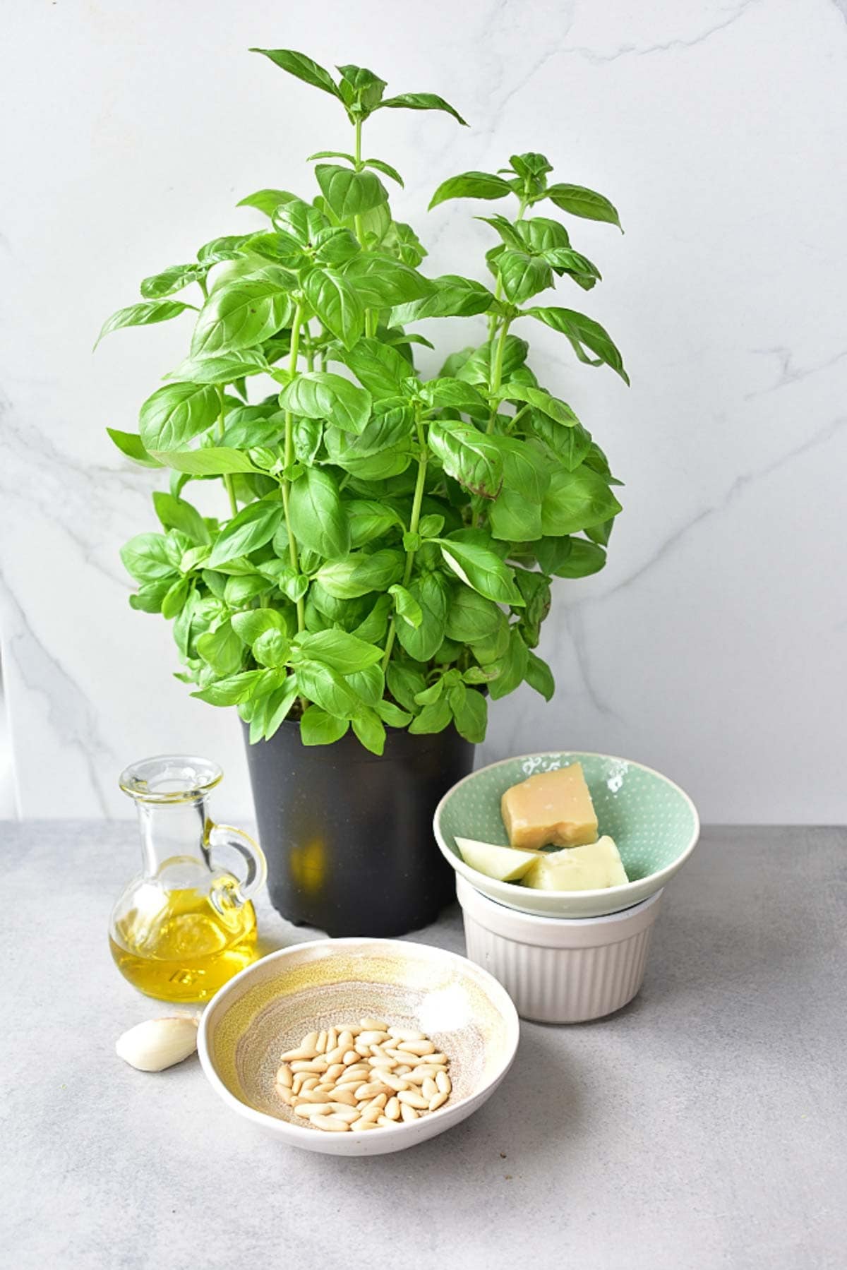 Basil pesto ingredients on a grey background.