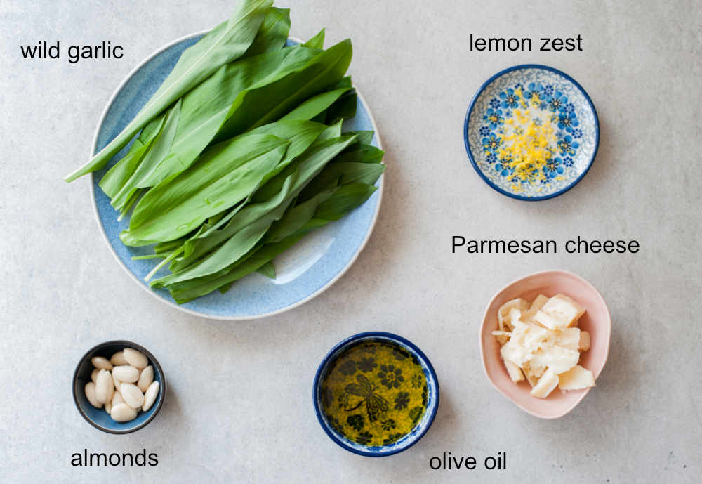 Wild garlic (ramp) pesto ingredients.