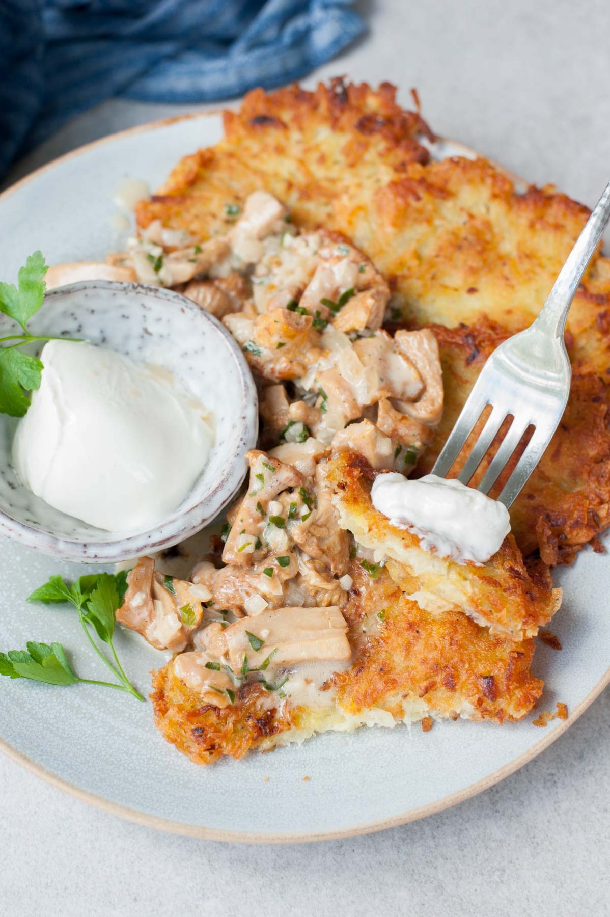 Potato pancakes with chanterelle sauce and sour cream sticked on a fork. 