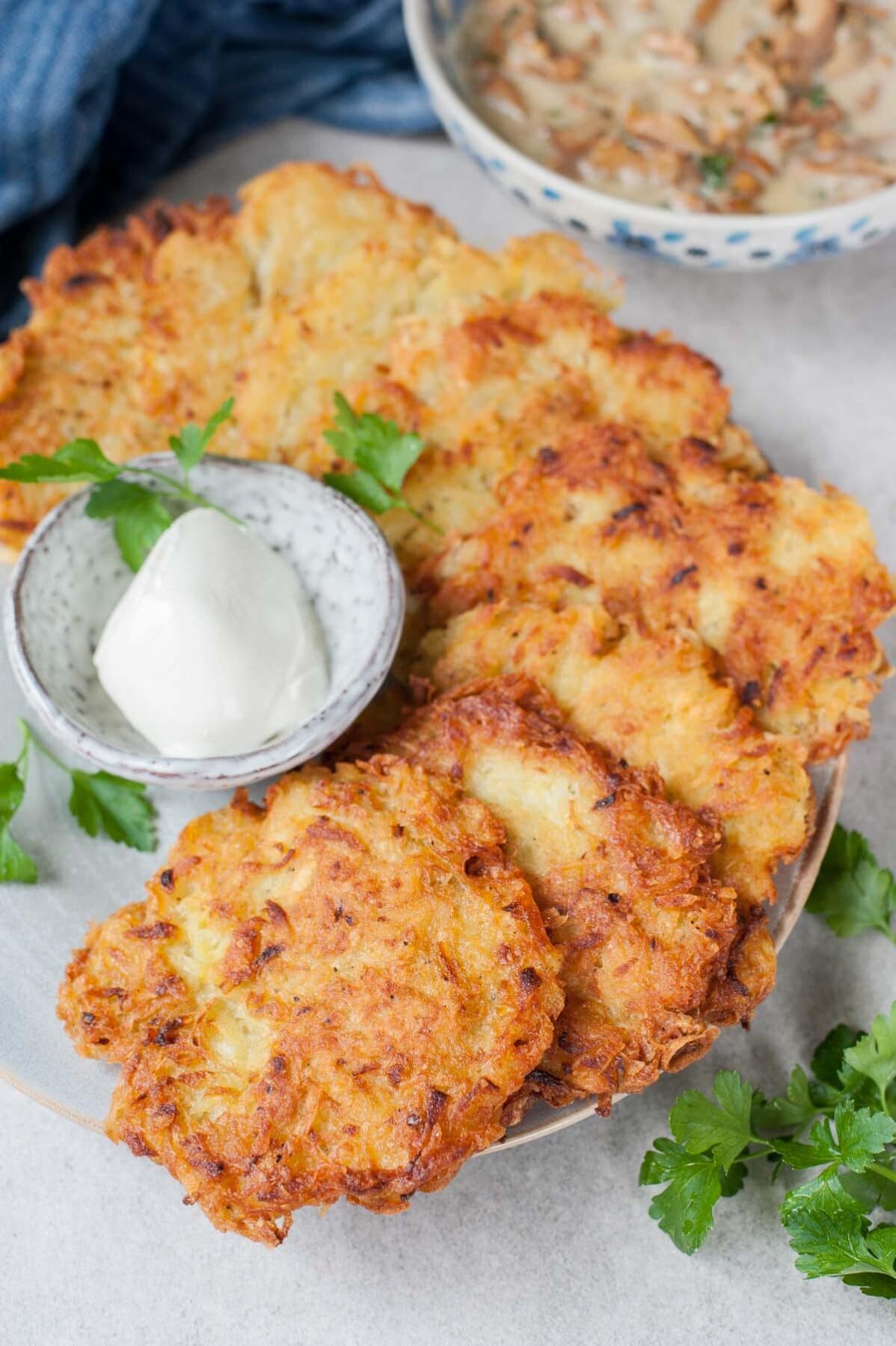 Potato pancakes on a blue plate, small bowl with sour cream, parsley and chanterelle sauce.