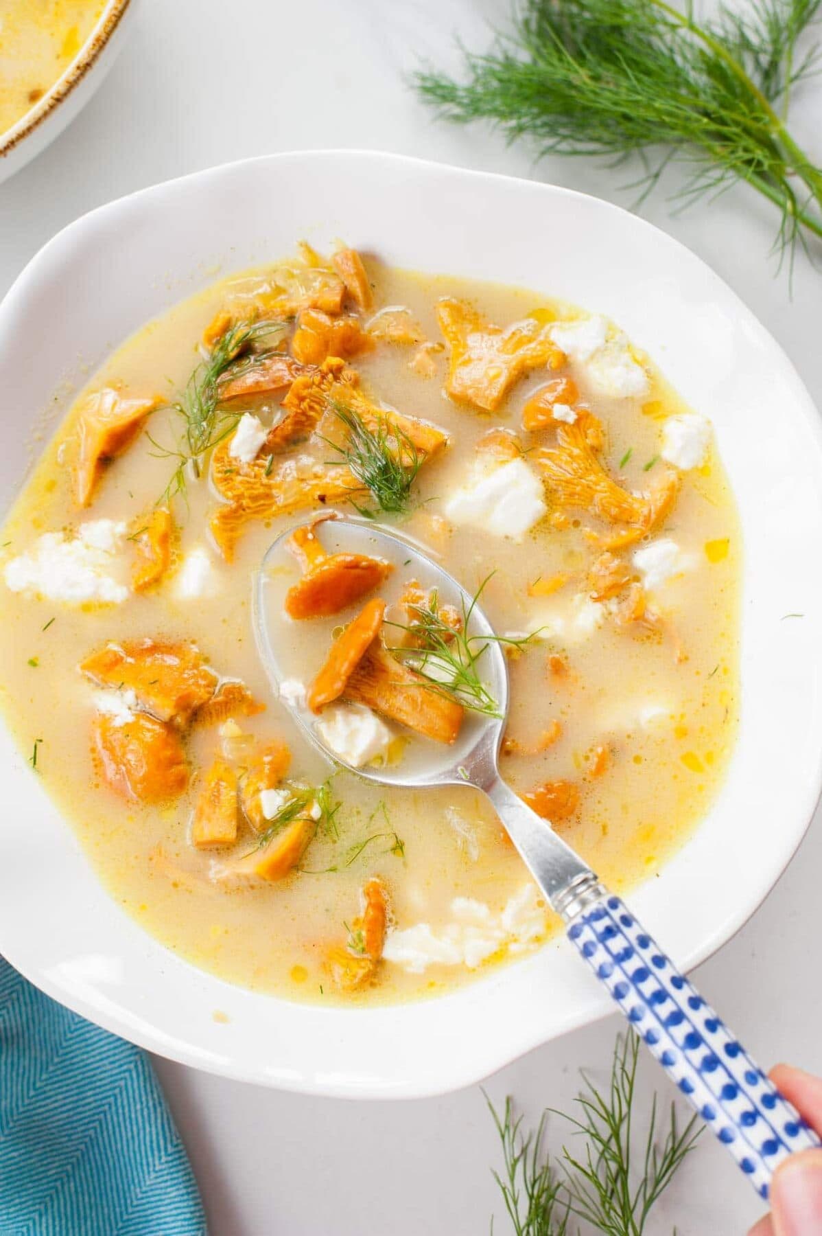 chanterelle soup in a white bowl with a blue spoon, dill in the background