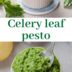 Celery leaf pesto pinnable image.