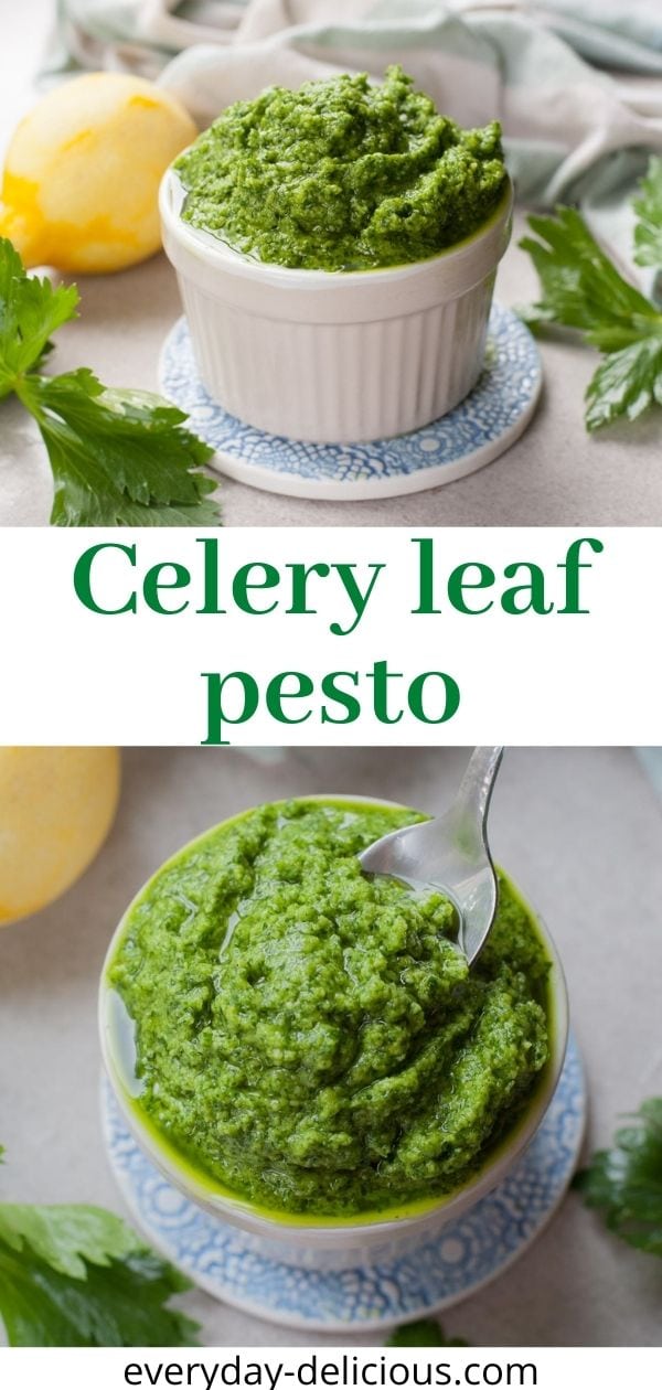 Celery Leaf Pesto Everyday Delicious