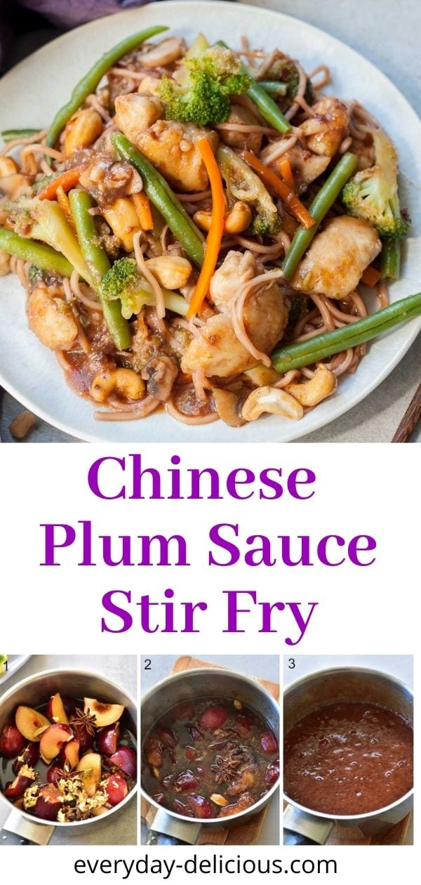 Chinese plum sauce noodles with chicken and veggies
