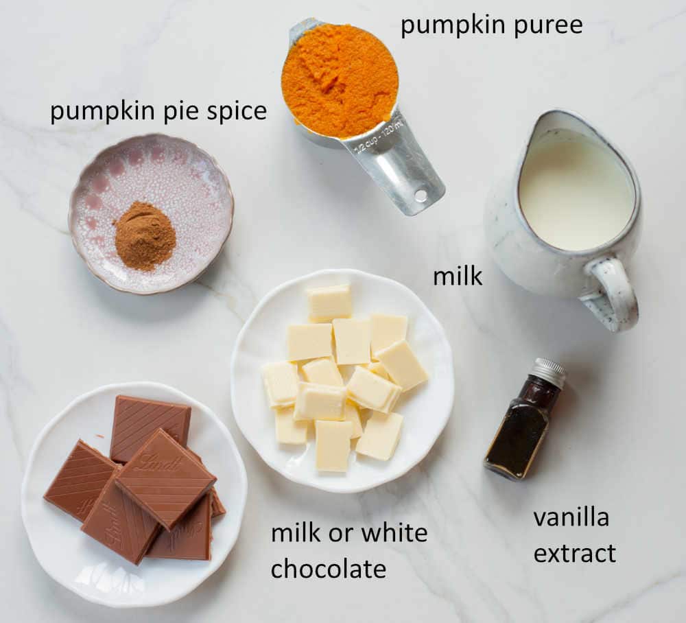 Labeled ingredients for pumpkin hot chocolate.