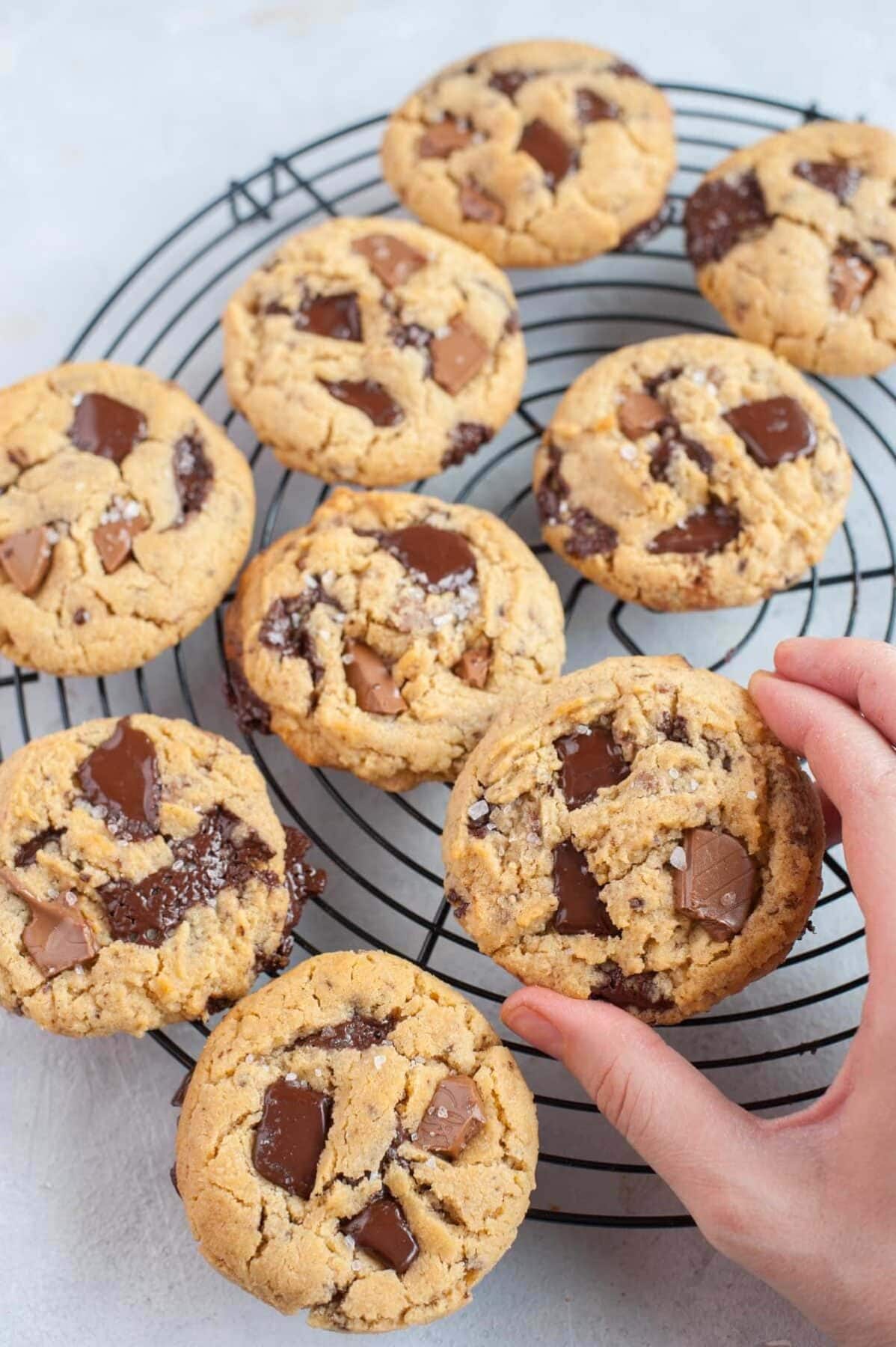 Chocolate chunk peanut butter cookie held in a hand.