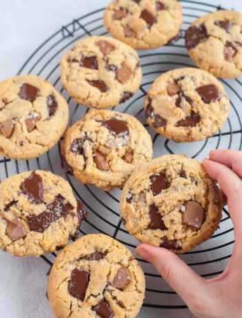 Chocolate chunk peanut butter cookie held in a hand.