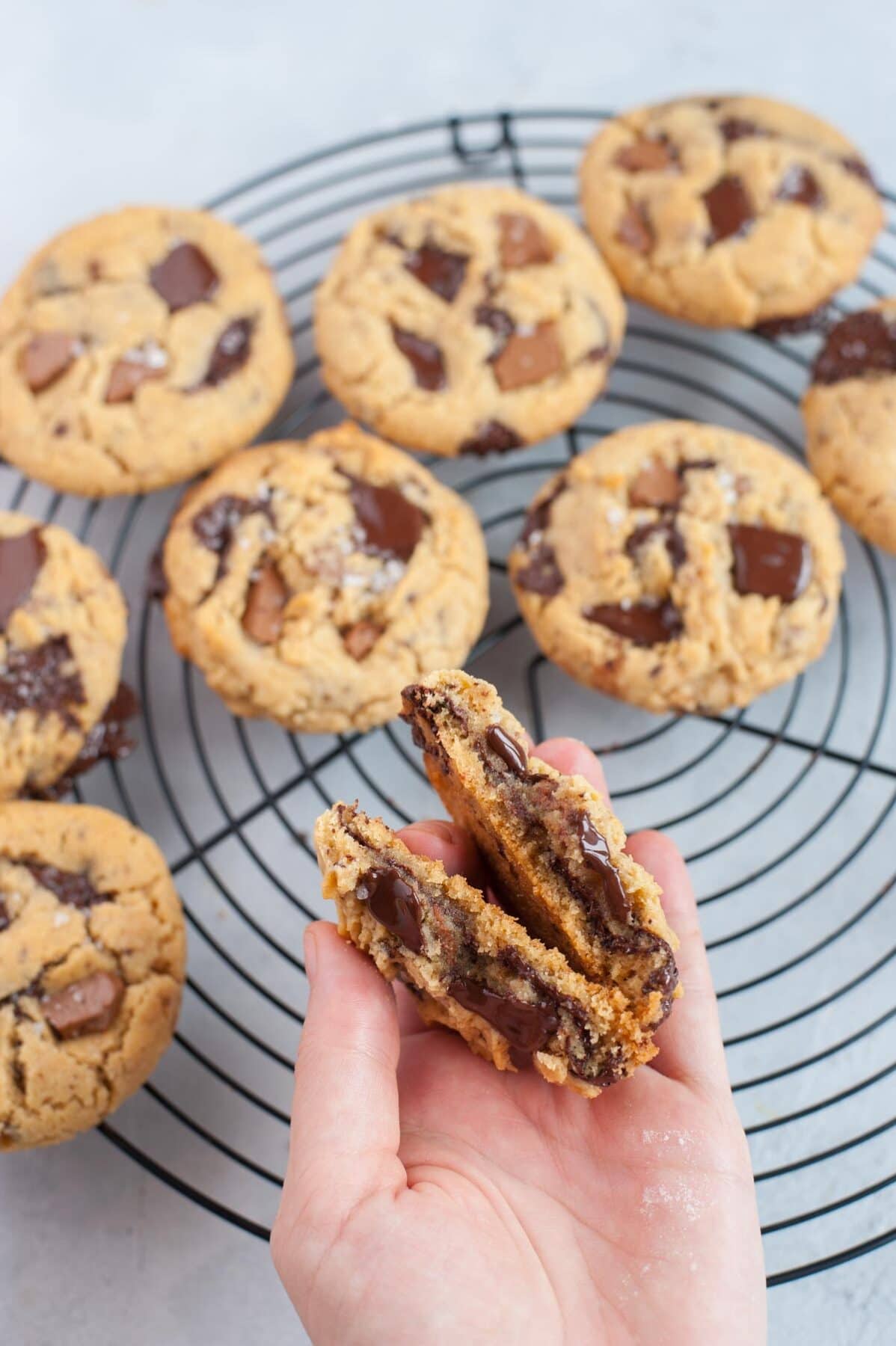 Chocolate chunk peanut butter cookie held in a hand and broke in half.