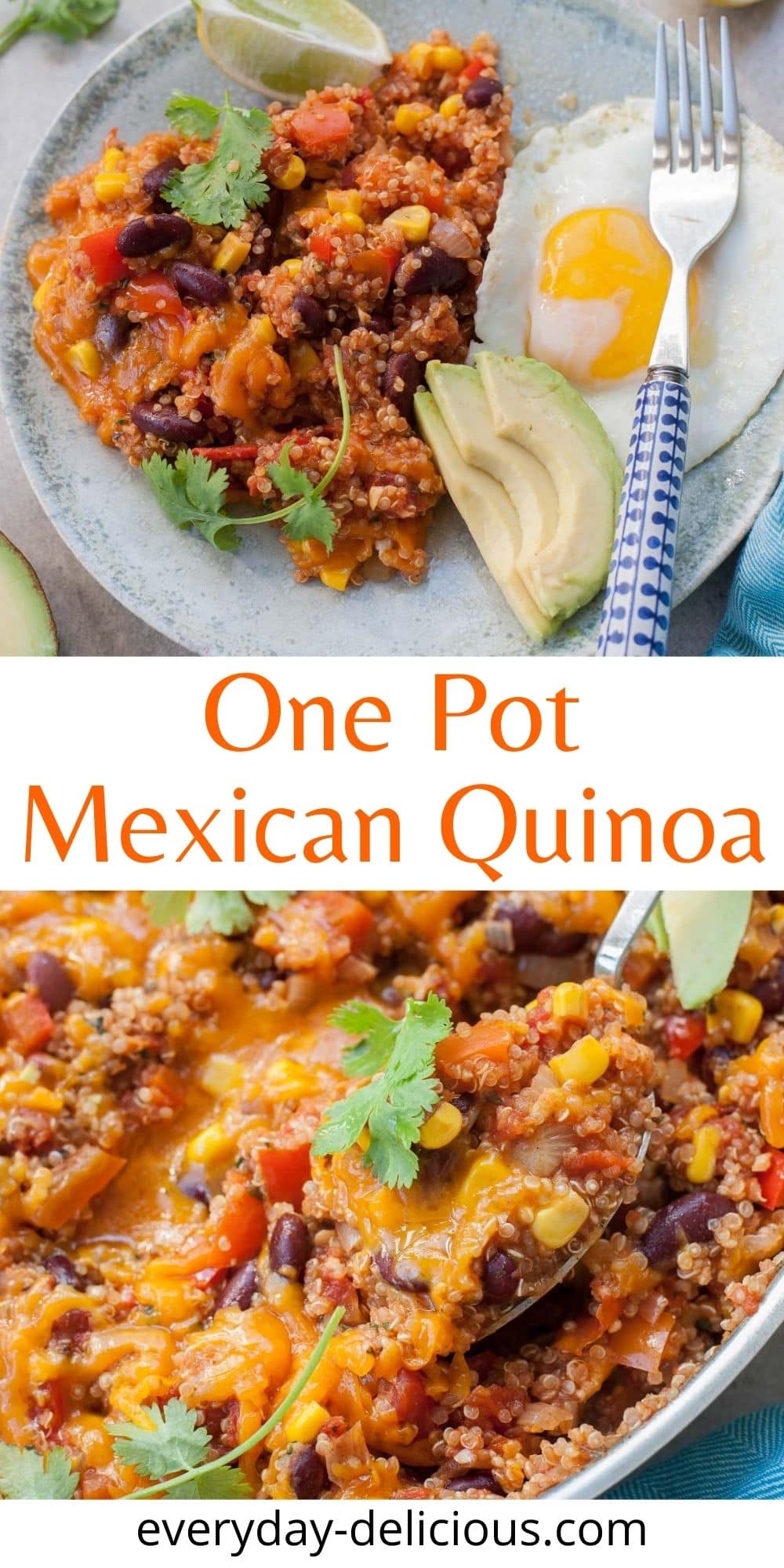 One Pot Mexican Quinoa - Everyday Delicious