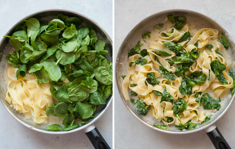 Cooked pasta and fresh spinach in a pan. Creamy gorgonzola sauce with spinach and pasta in a pan.