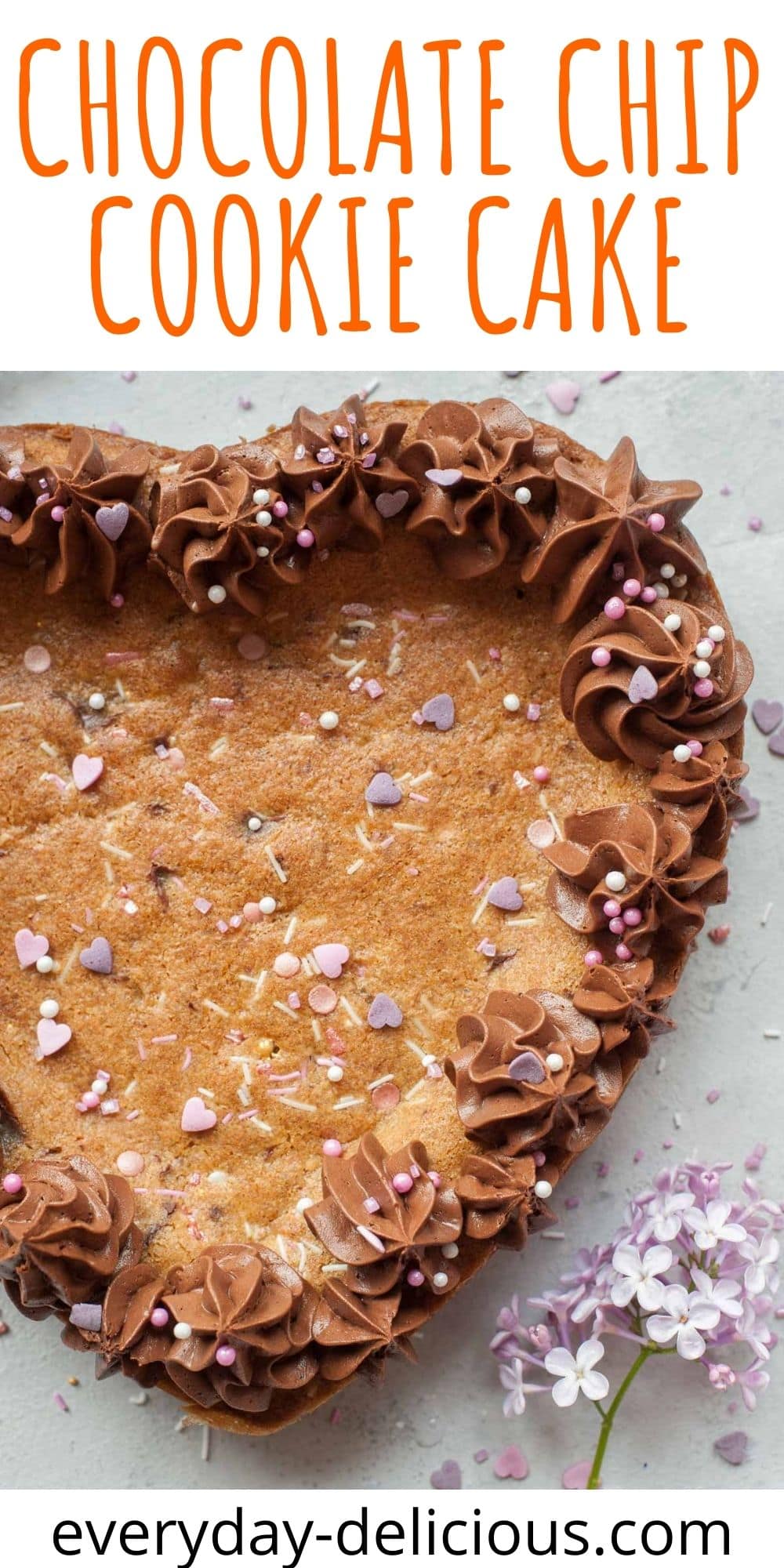 Chocolate chip cookie cake with chocolate frosting Everyday Delicious