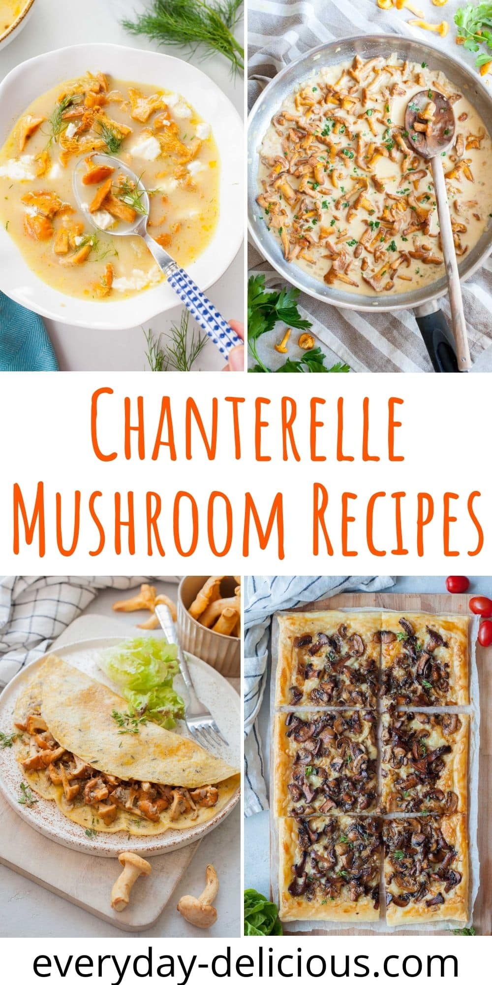 Chanterelle Mushroom Recipes - Everyday Delicious