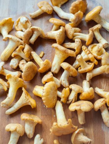 Chanterelle mushrooms on a wooden board.