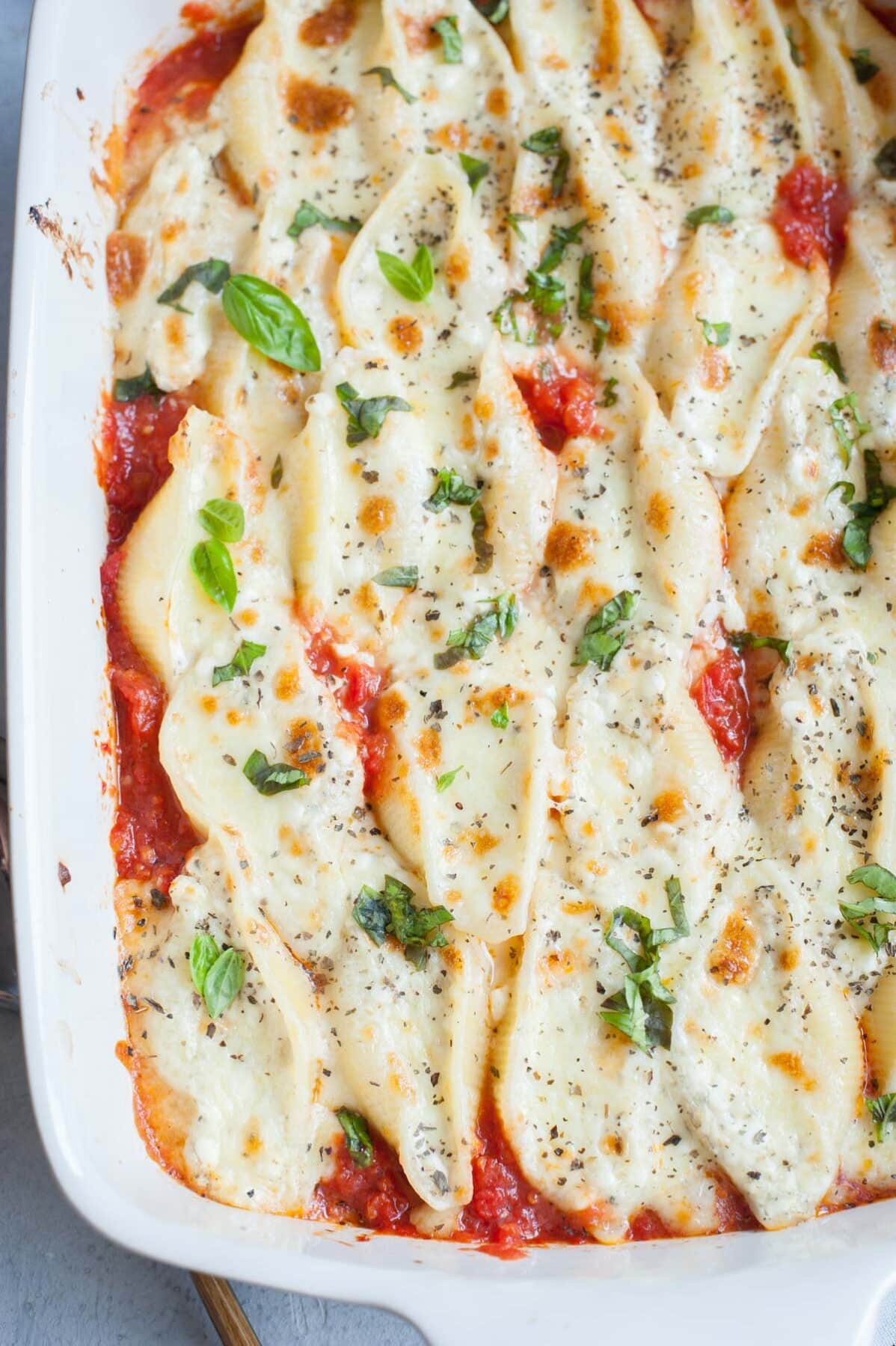 Close up picture of cottage cheese stuffed shells in a white baking dish.
