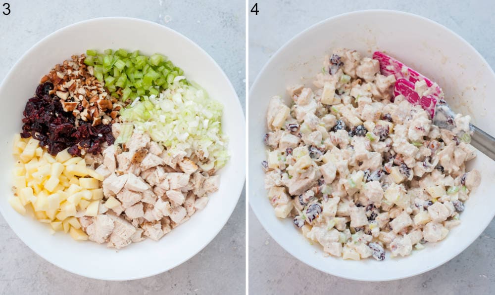 All ingredients for cranberry chicken salad in a white bowl. Chicken salad in a white bowl.