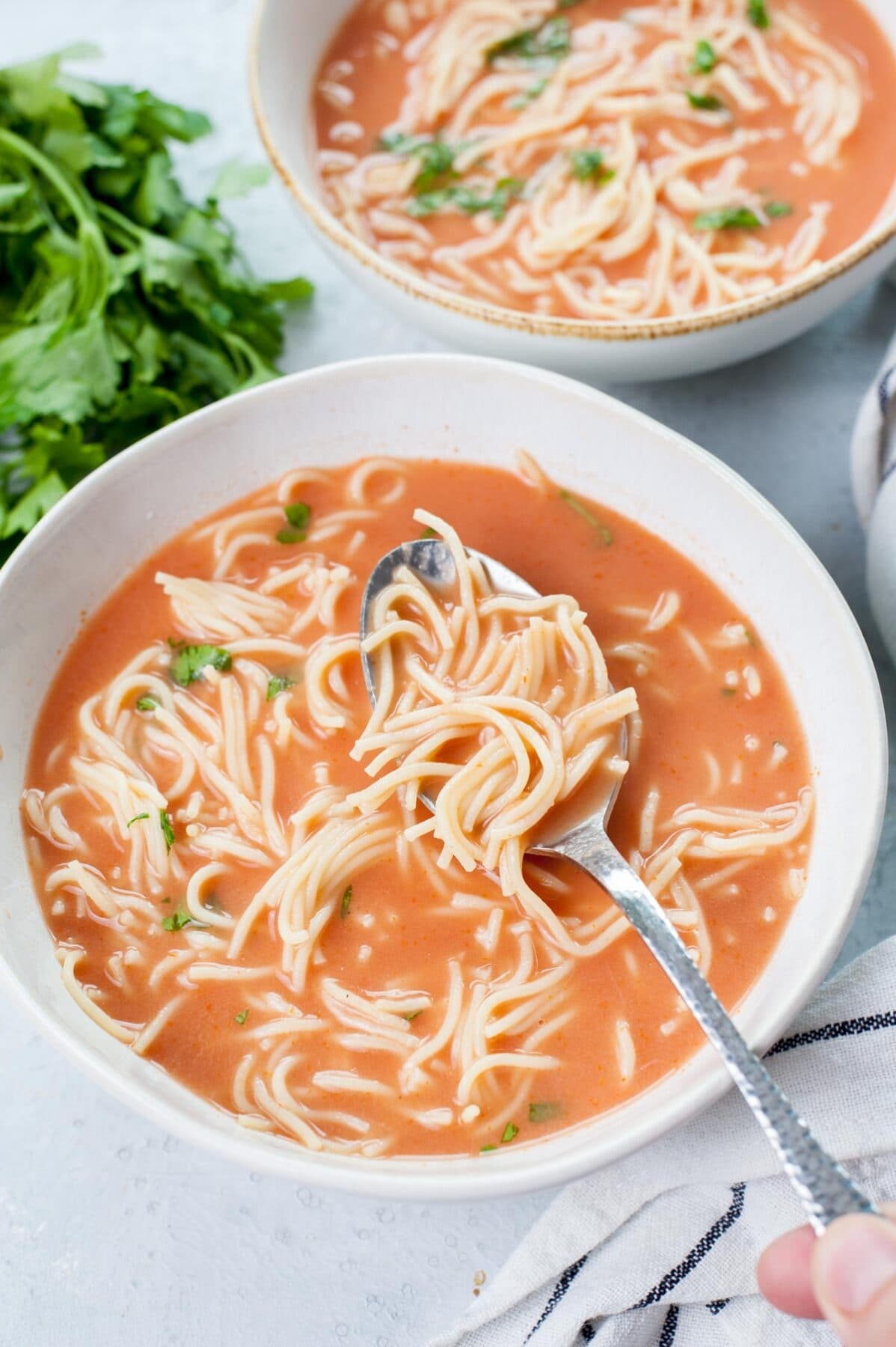 Polish Tomato Soup (zupa pomidorowa) in a white plate, served with noodles and chopped parsley.