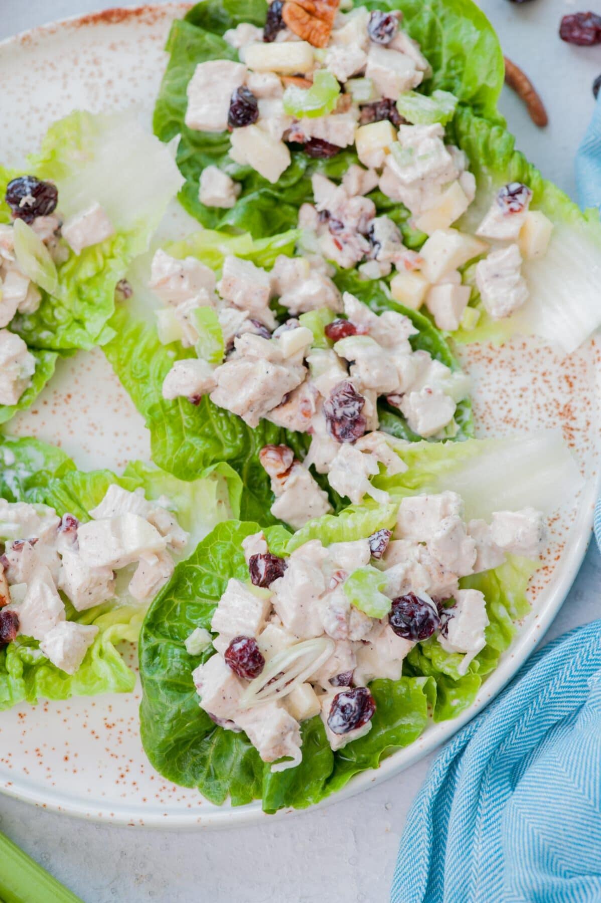 Cranberry chicken salad on lettuce leaves on a white plate.