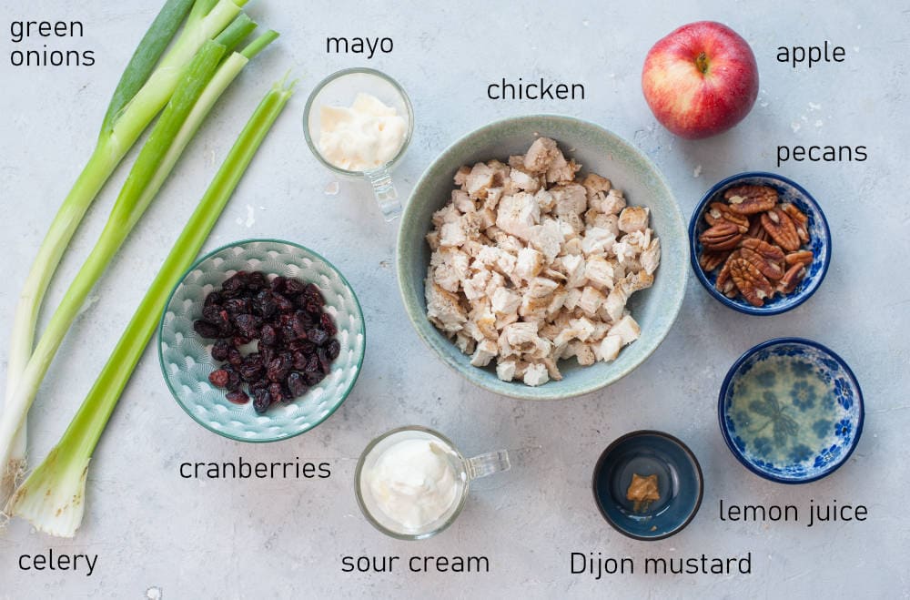 Labeled ingredients for cranberry chicken salad.