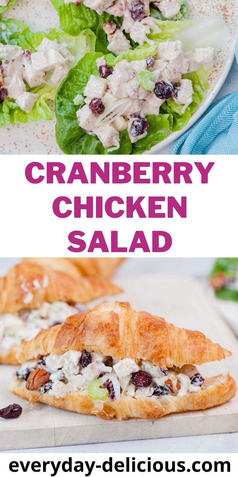 Cranberry Chicken Salad Everyday Delicious
