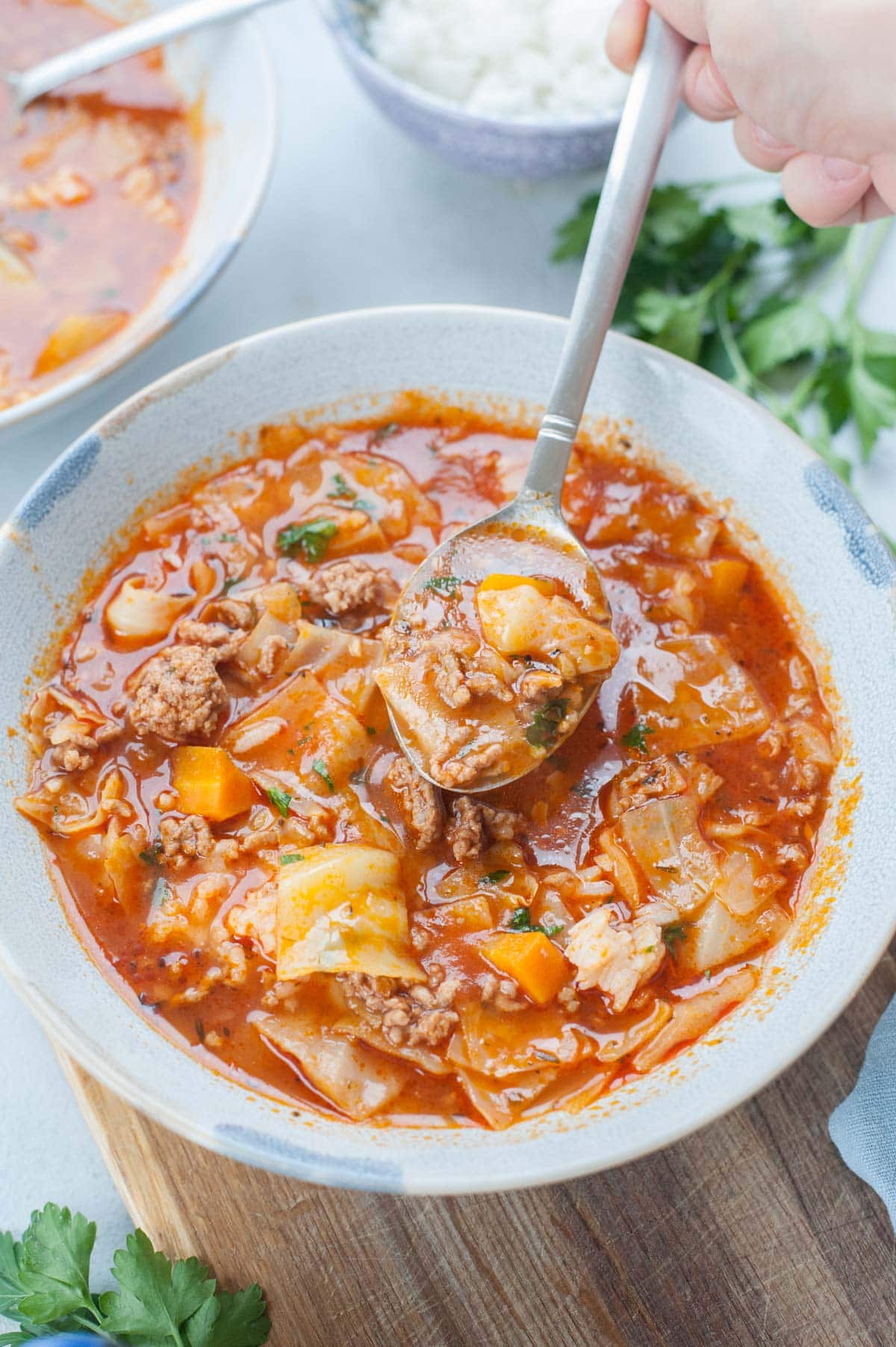 Stuffed Cabbage Soup (stove or pressure cooker)