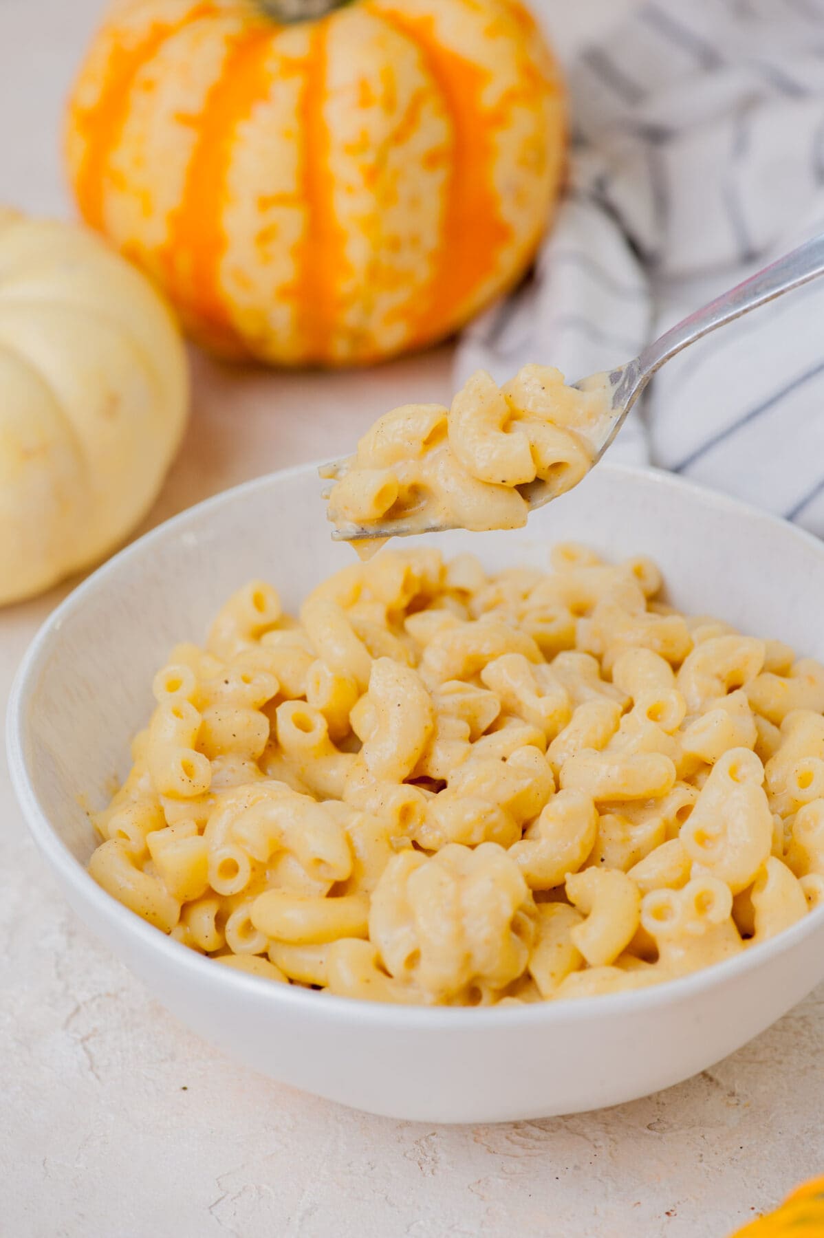 Pumpkin mac and cheese in a white bowl. Small pumpkins in the background.