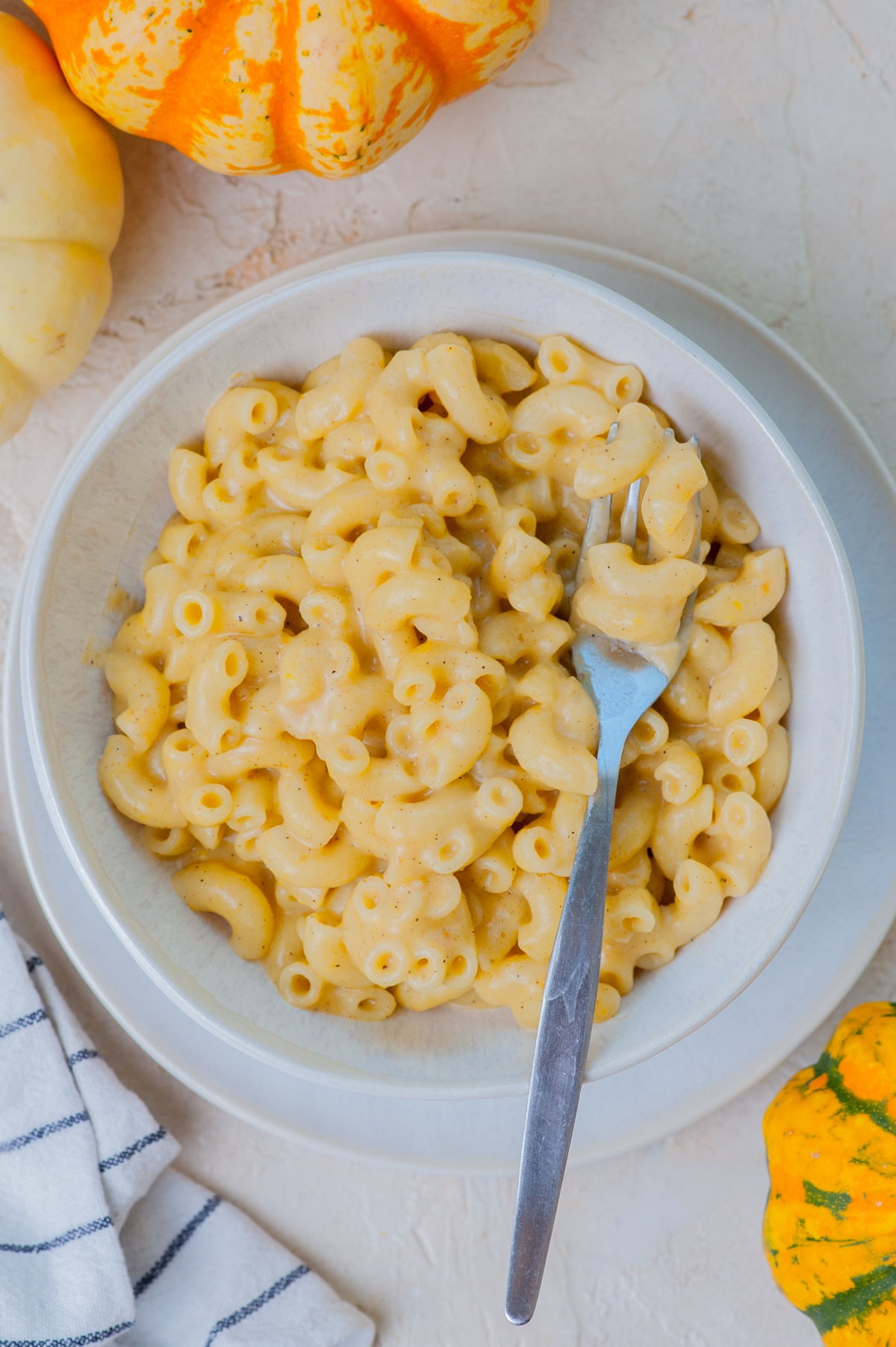 Pumpkin mac and cheese in a white bowl. Small pumpkins and kitchen cloth near the bowl.