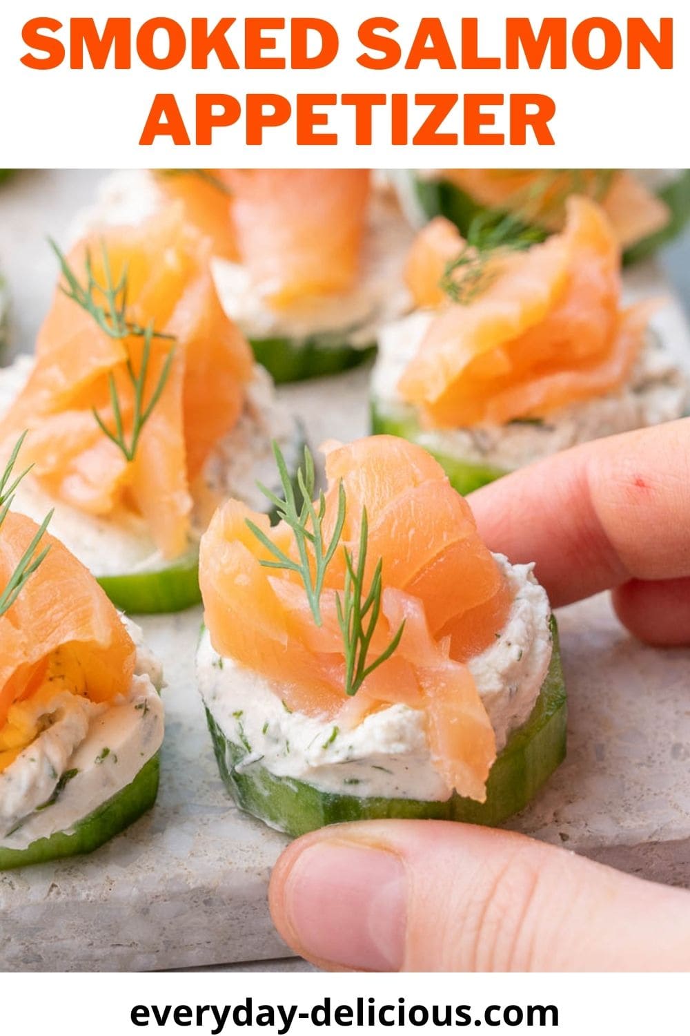 Smoked Salmon Appetizer - Everyday Delicious
