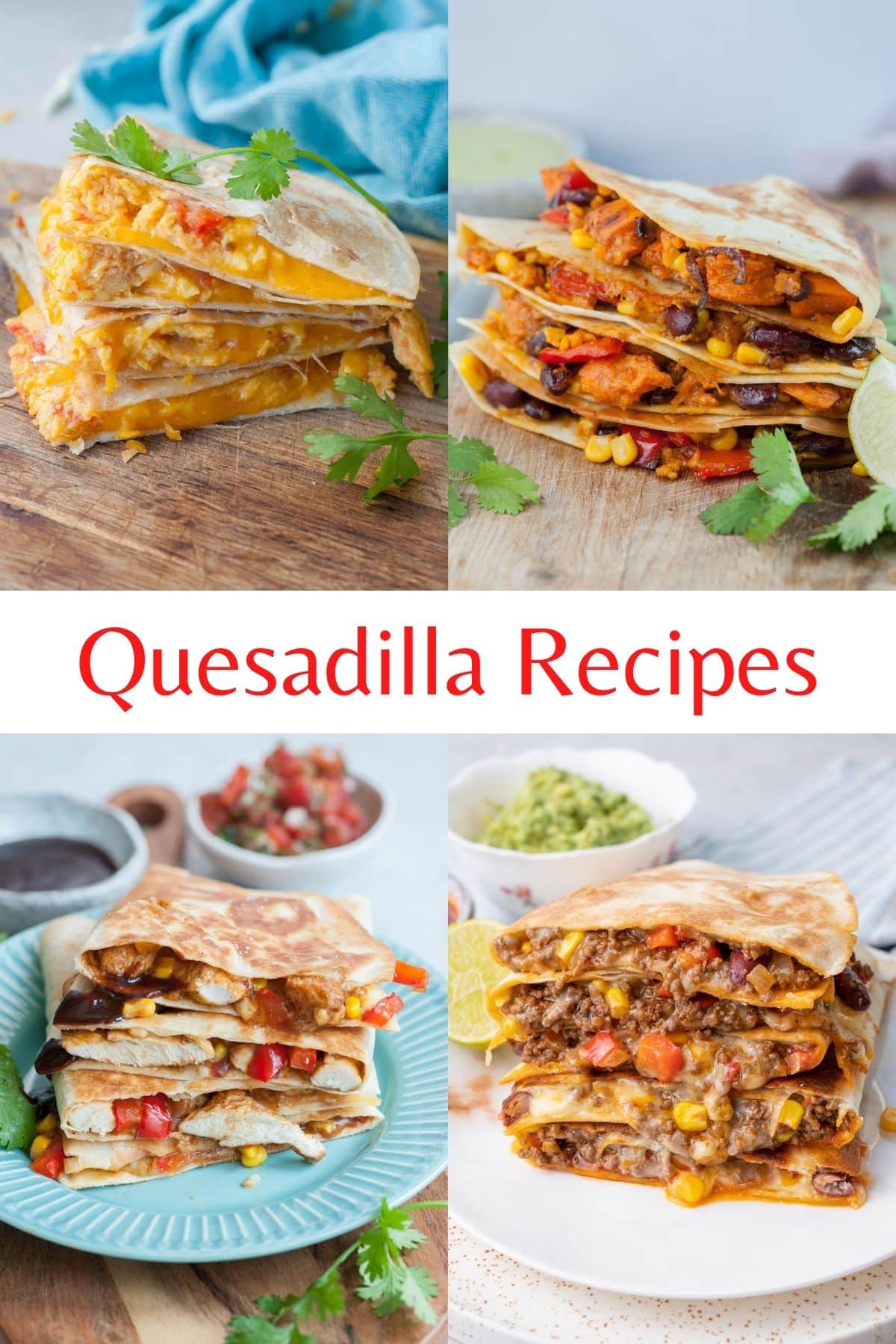 10+ Quesadilla Recipes (Quesadilla Fillings) Everyday Delicious
