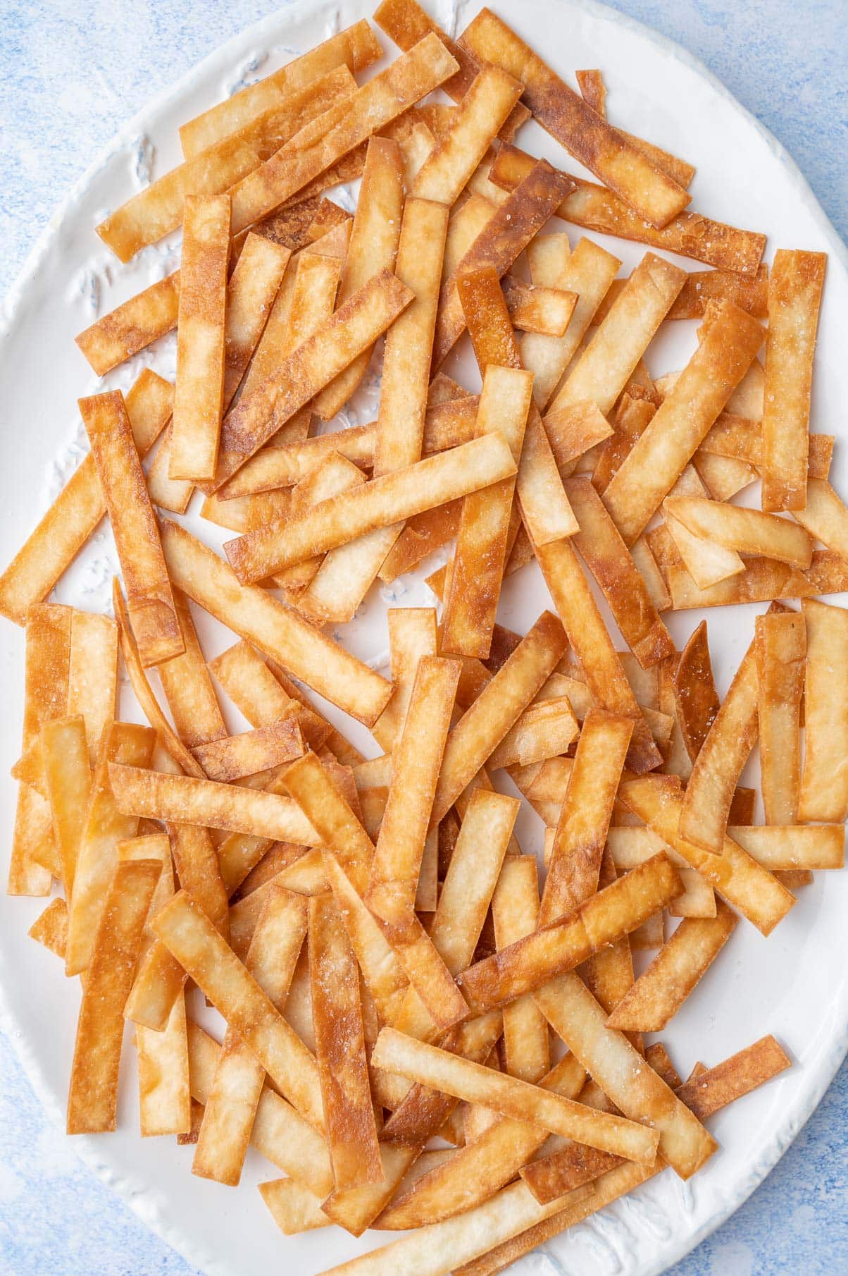 Tortilla strips on a white plate.