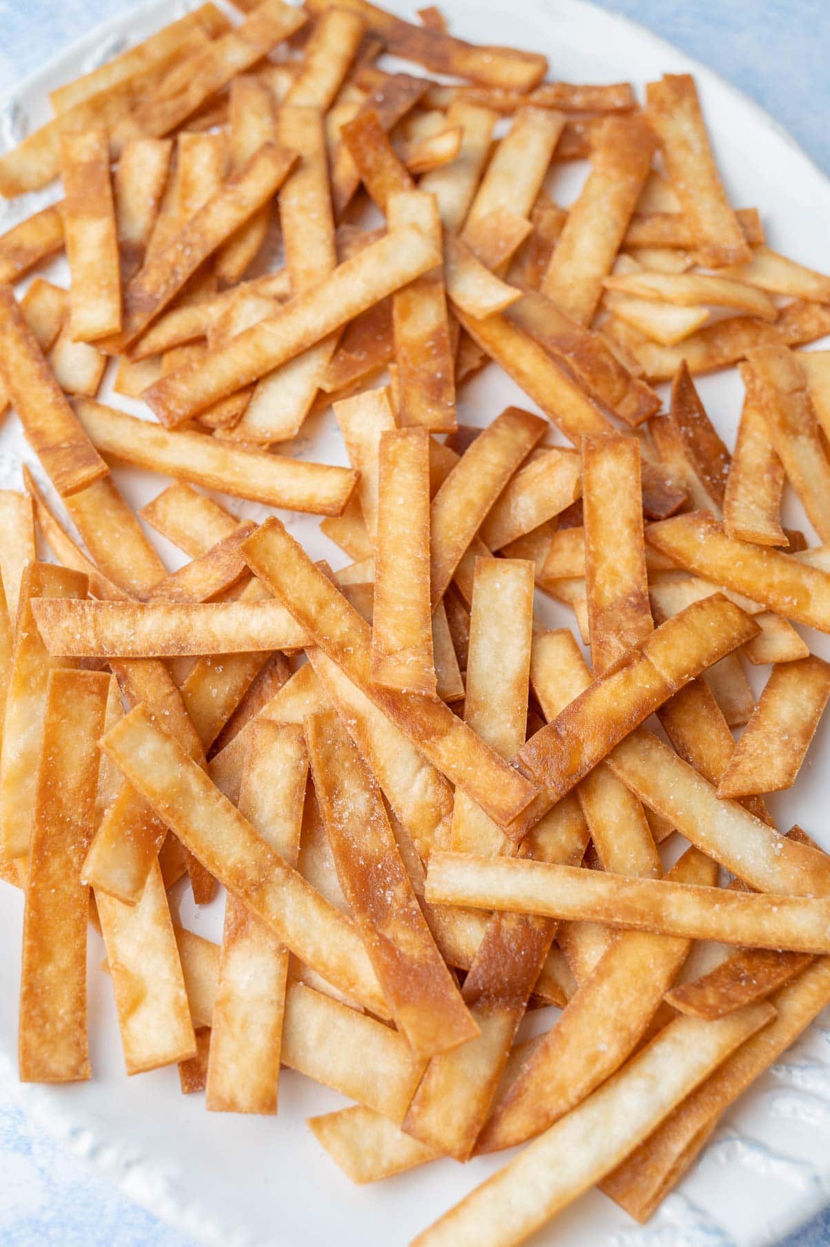 Tortilla strips on a white plate.