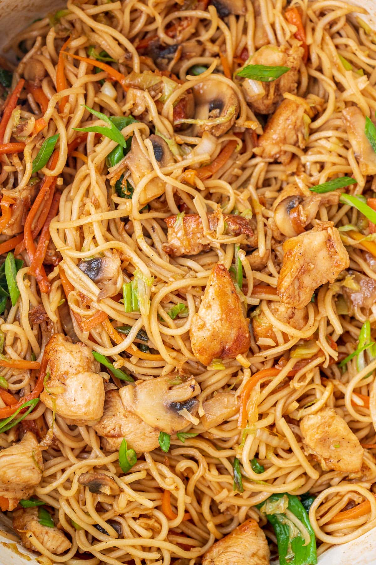 Close up picture of chicken chow mein noodles in a pot.
