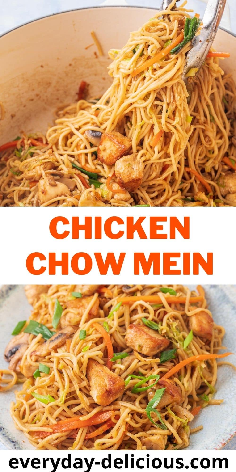 Chicken Chow Mein - Everyday Delicious