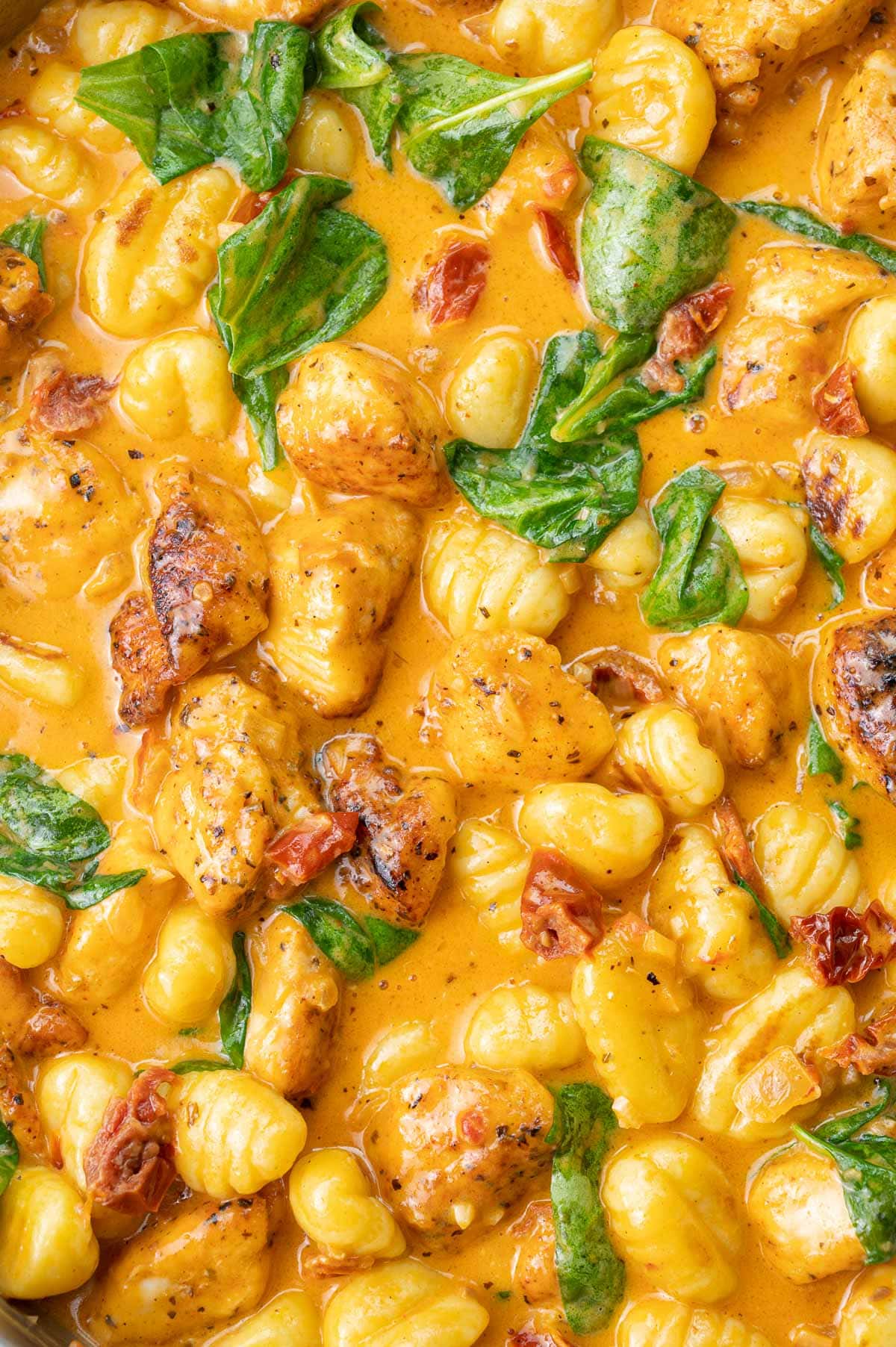 A close-up photo of creamy Tuscan chicken with gnocchi, sun-dried tomatoes, and spinach.