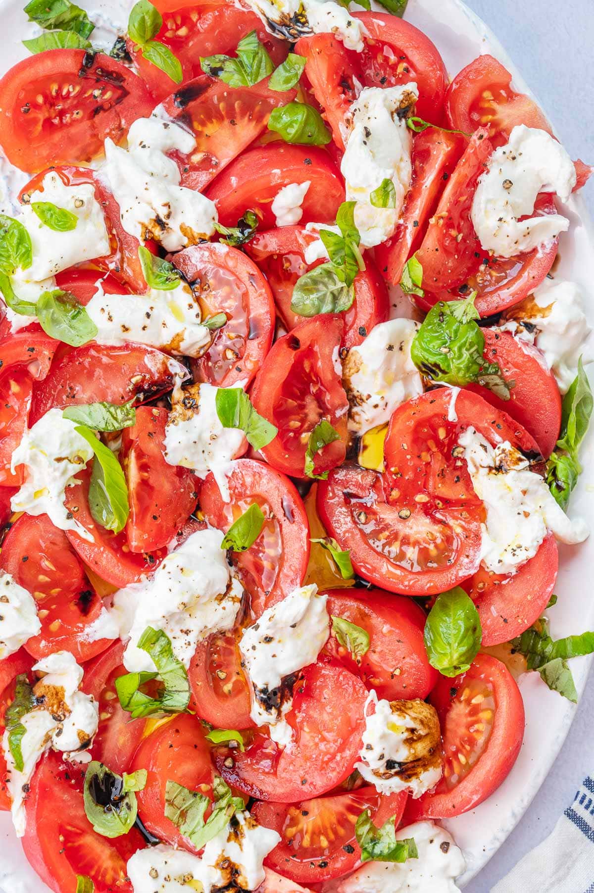 Overhead close up view of Burrata Caprese Salad with sliced tomatoes on white serving dish 