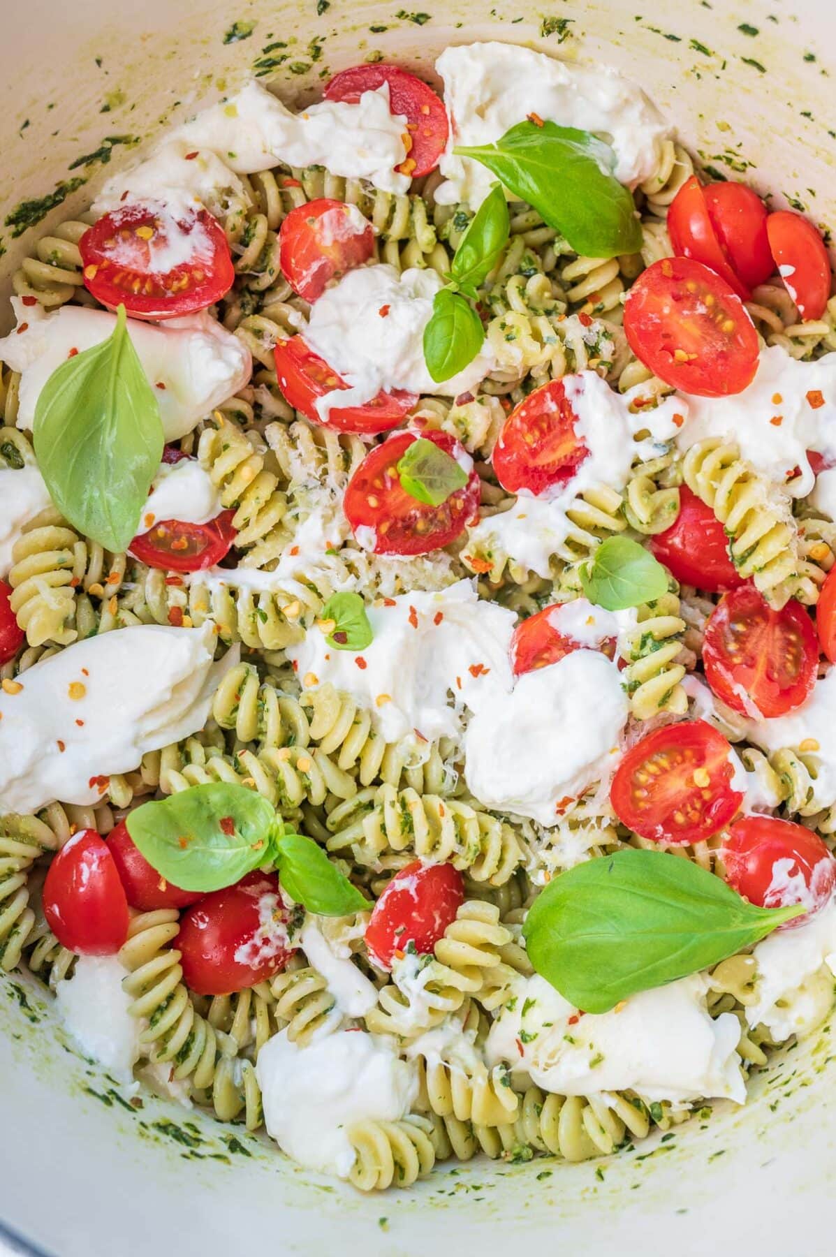 A close up photo of burrata pasta.