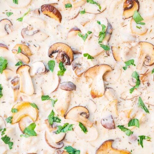 Creamy Mushroom Sauce Everyday Delicious