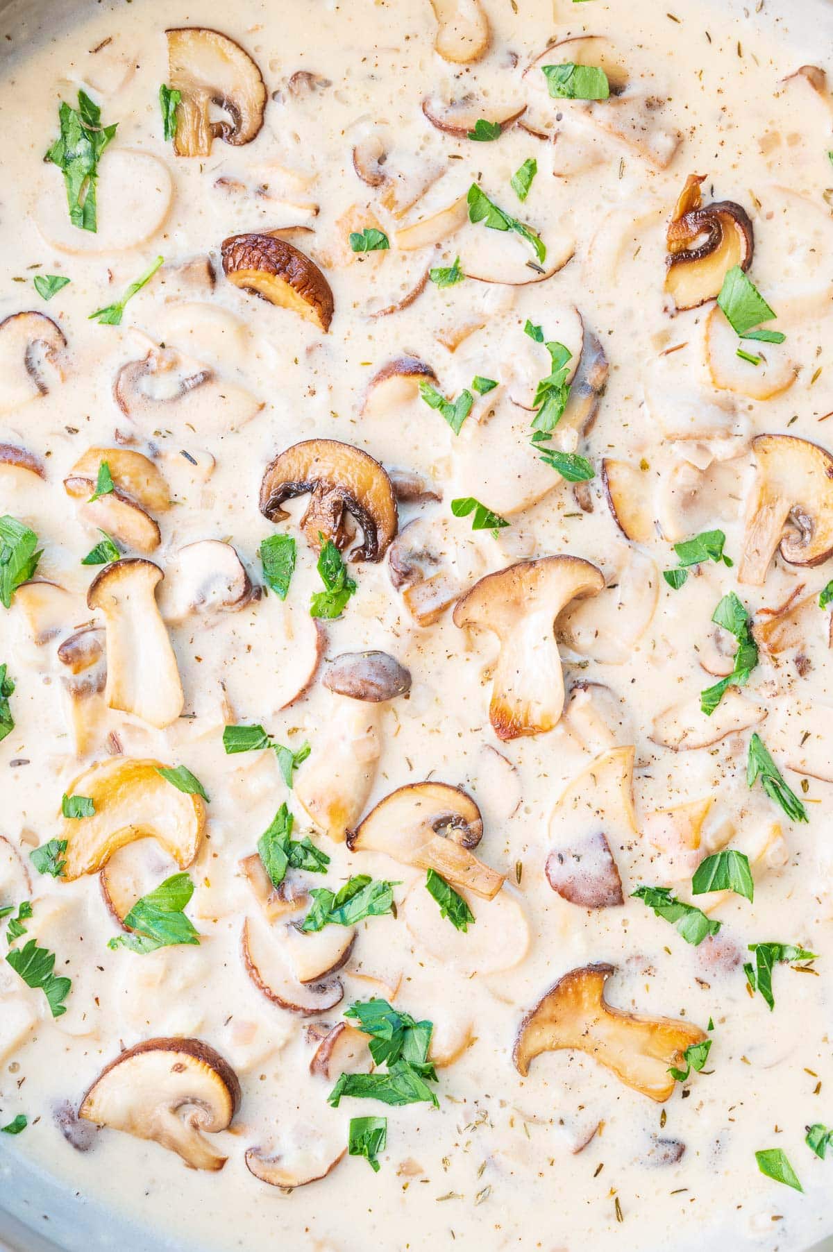 A close-up photo of creamy mushroom sauce in a pan.