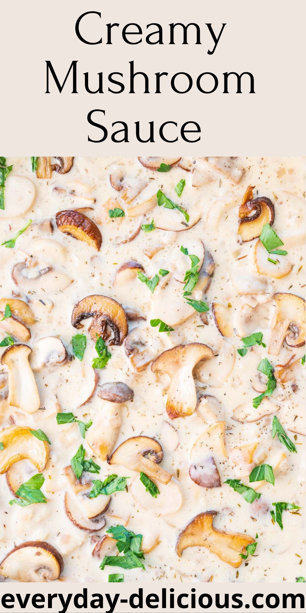 Creamy Mushroom Sauce Everyday Delicious