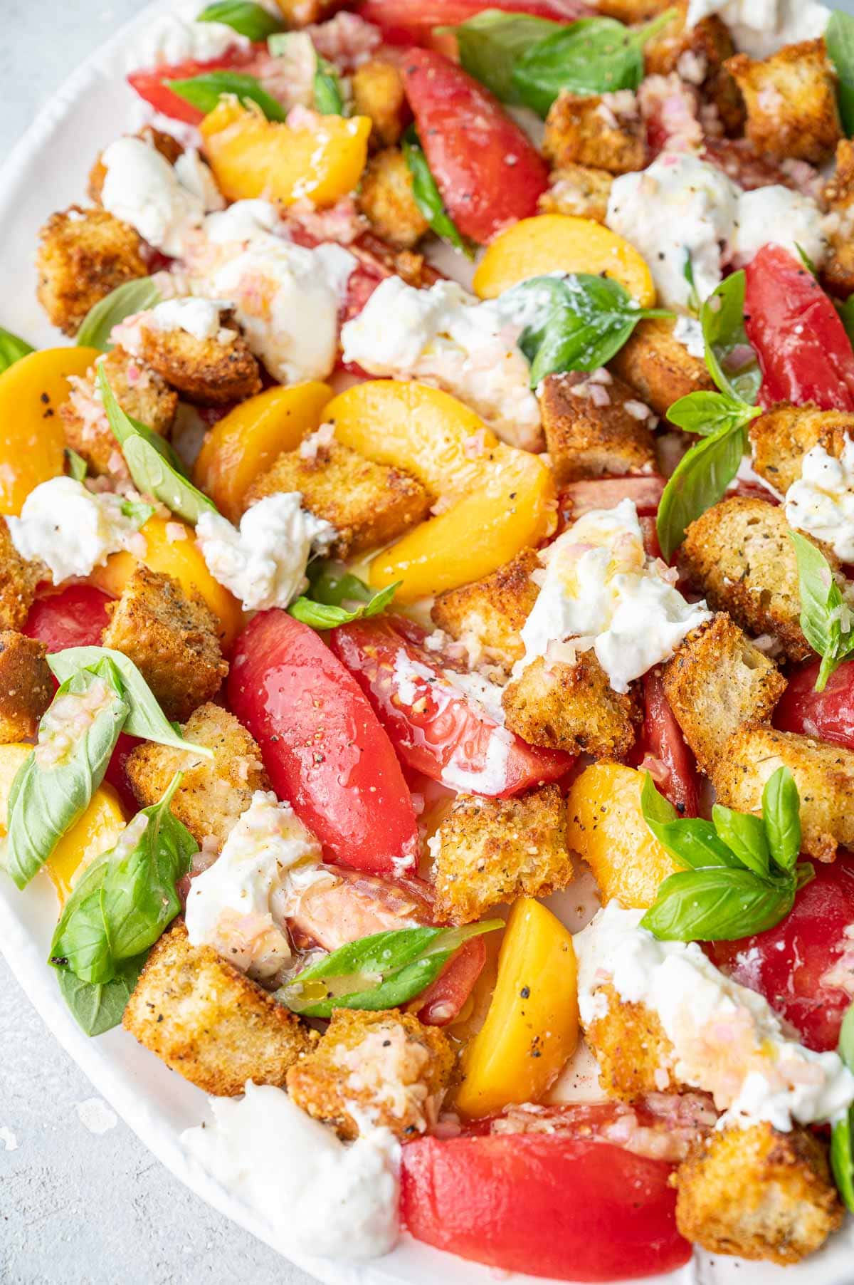 A close up photo of Summer Panzanella Salad.