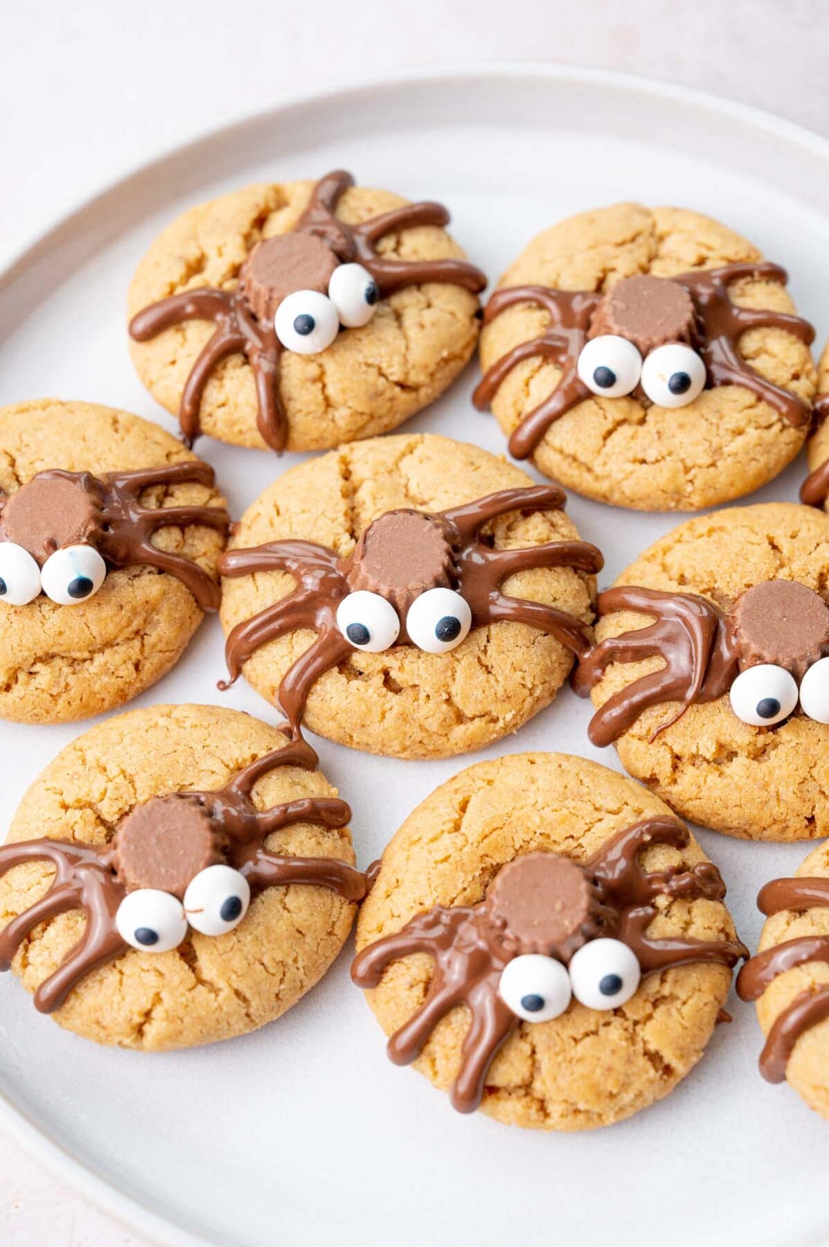 Spider cookies on a white plate.