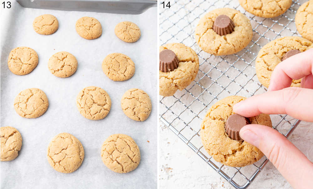 Peanut butter cookies on parchment paper. Peanut butter cups are being placed on top of peanut butter cookies.