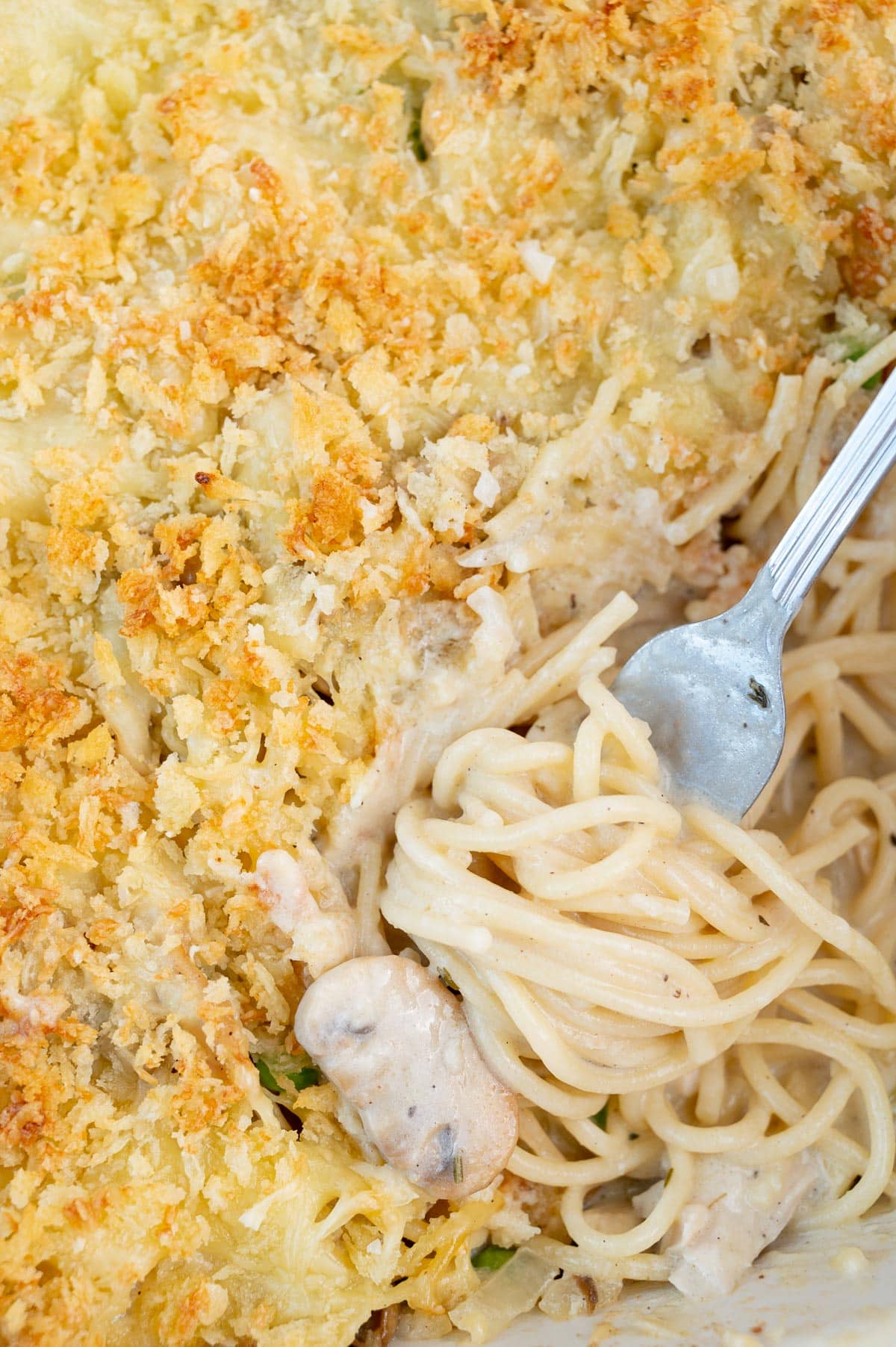 A close up picture of Turkey Tetrazzini in a baking dish.