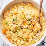 Creamy chicken orzo in a white plate.