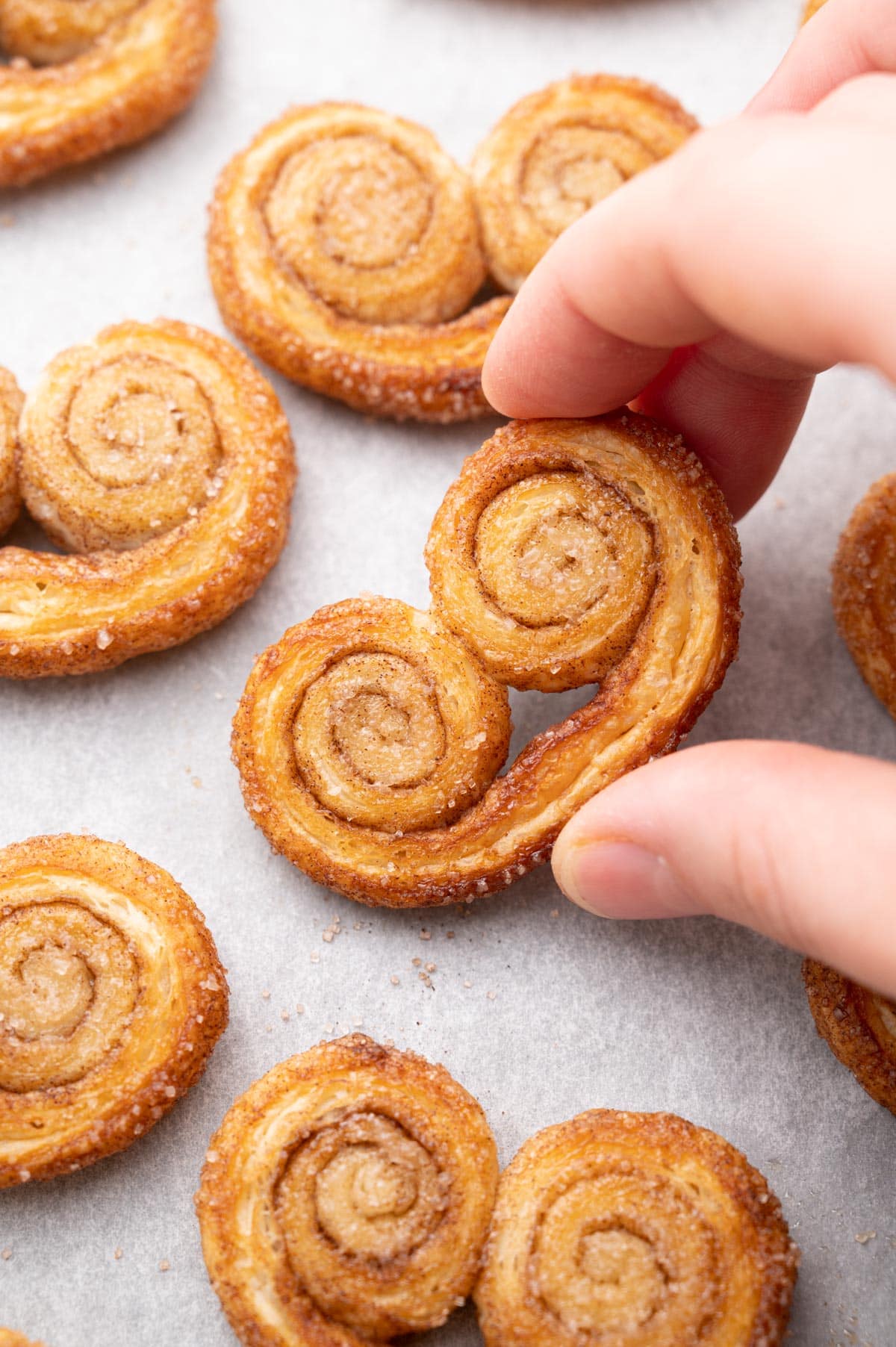 Palmier cookie is being held in a hand.