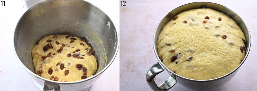 Raisin yeast dough in a bowl. Risen yeast dough in a bowl.